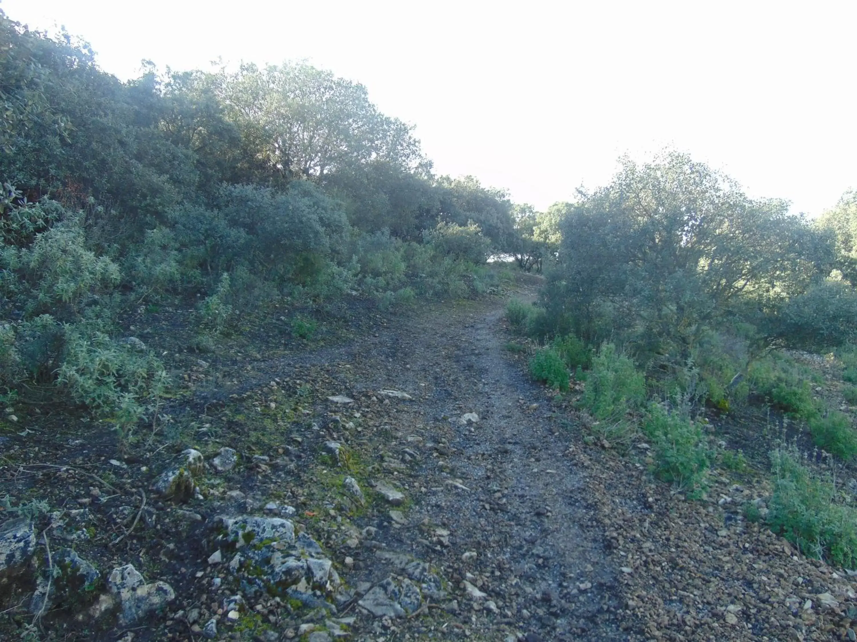 Area and facilities, Natural Landscape in Hotel Sierra de Araceli Lucena