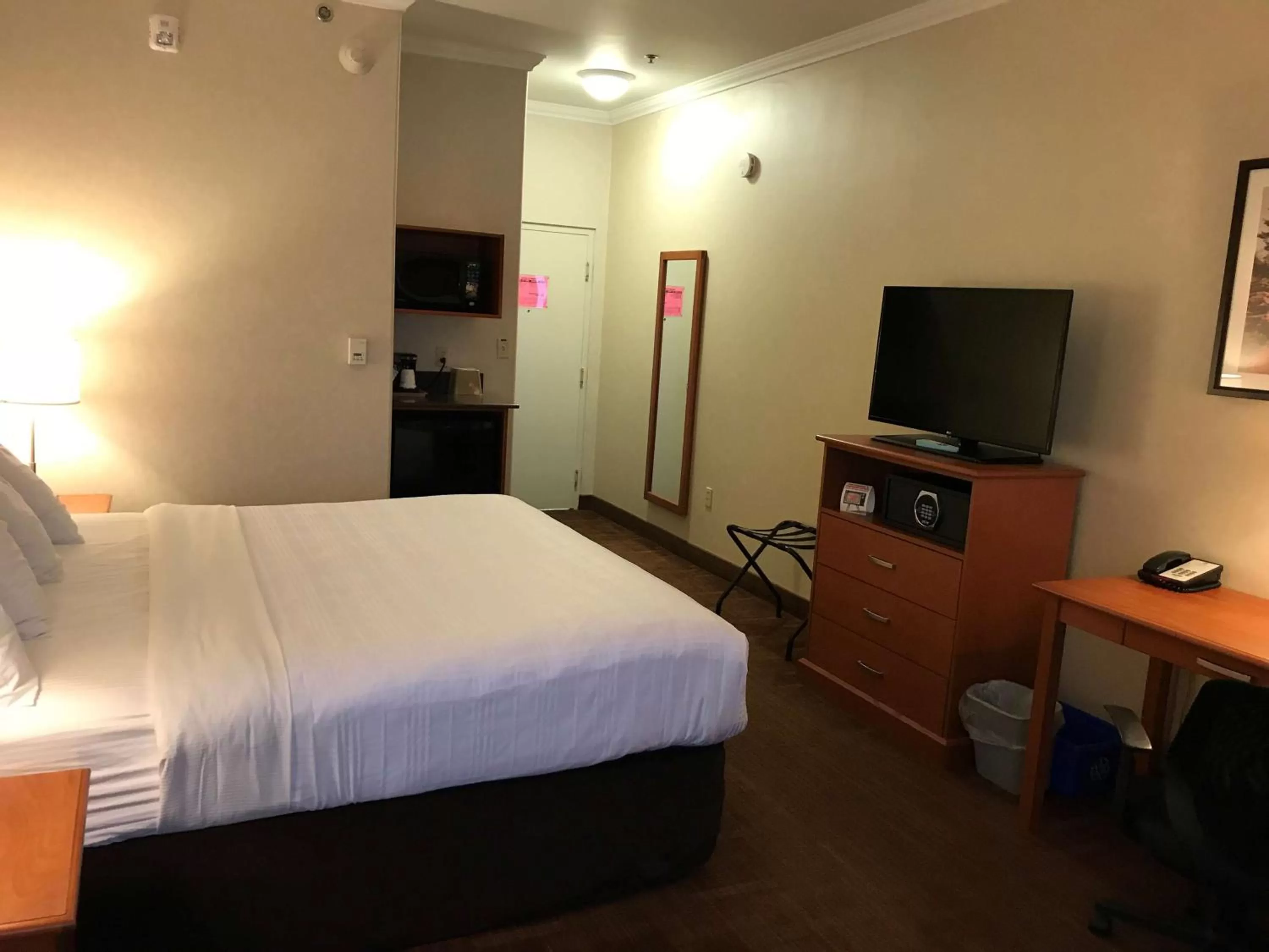 Photo of the whole room, Bed in Best Western Thunder Bay Crossroads