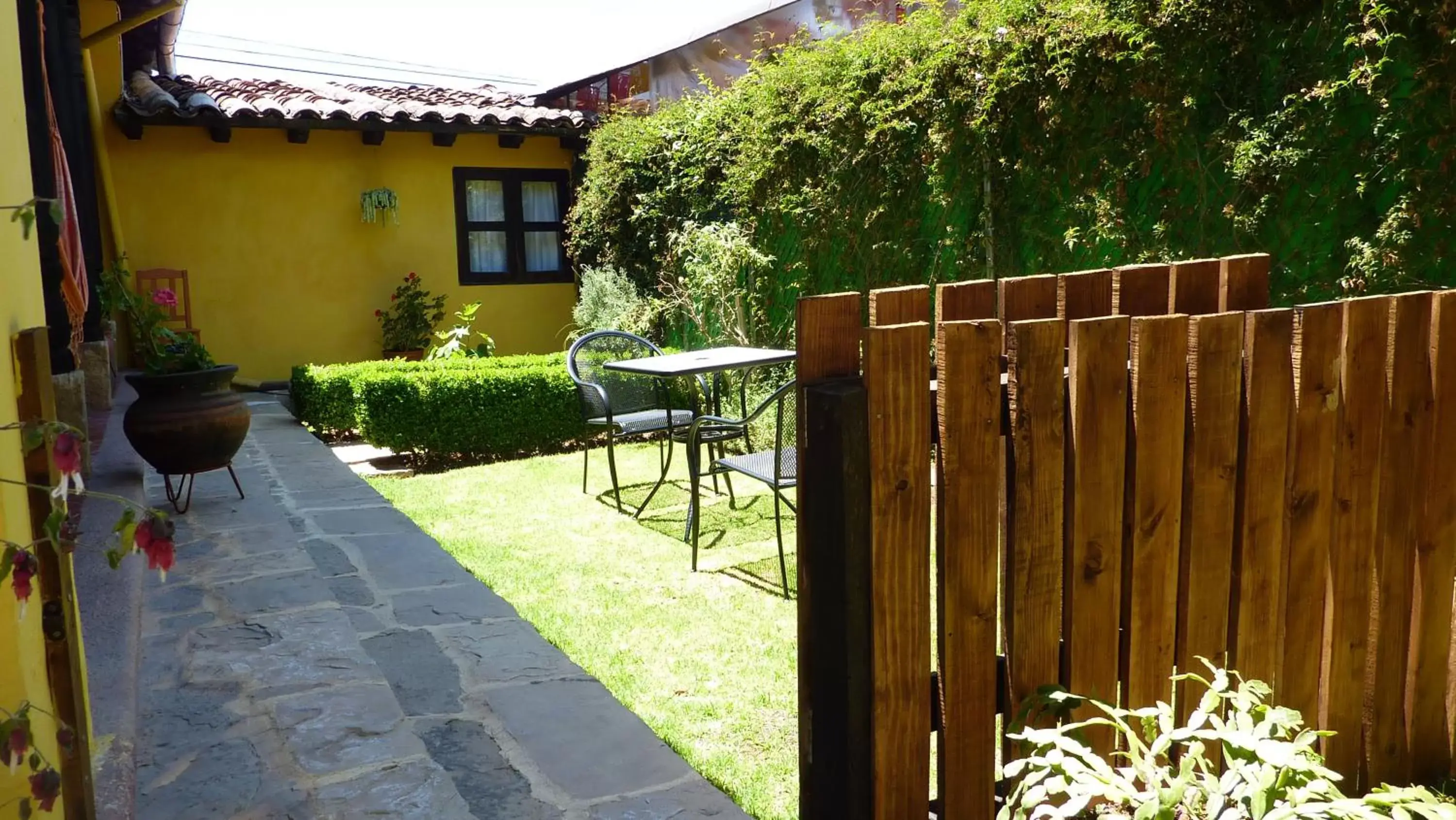 Garden in Hotel Ocho Barrios