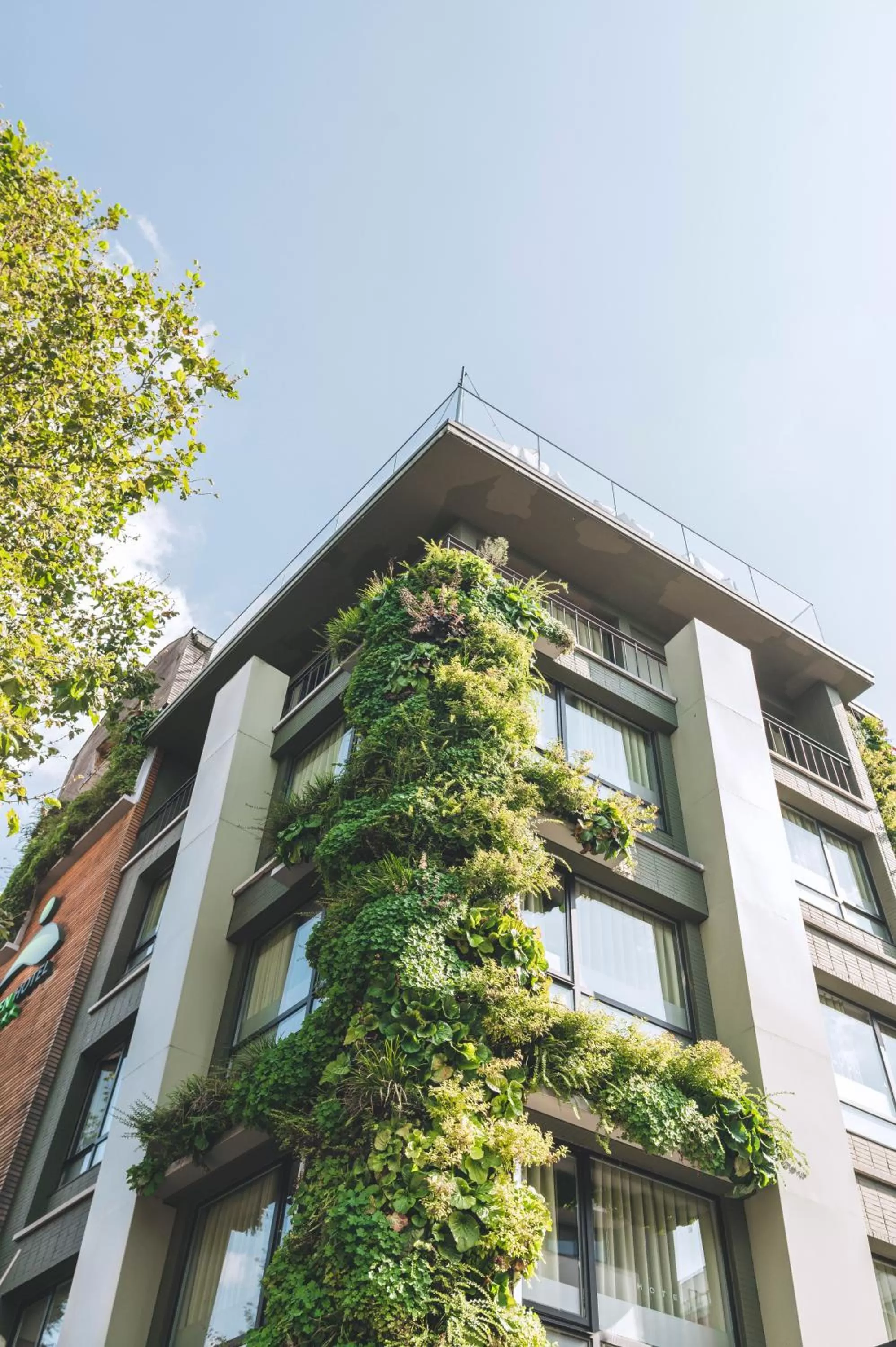 Property building in Green Hotel