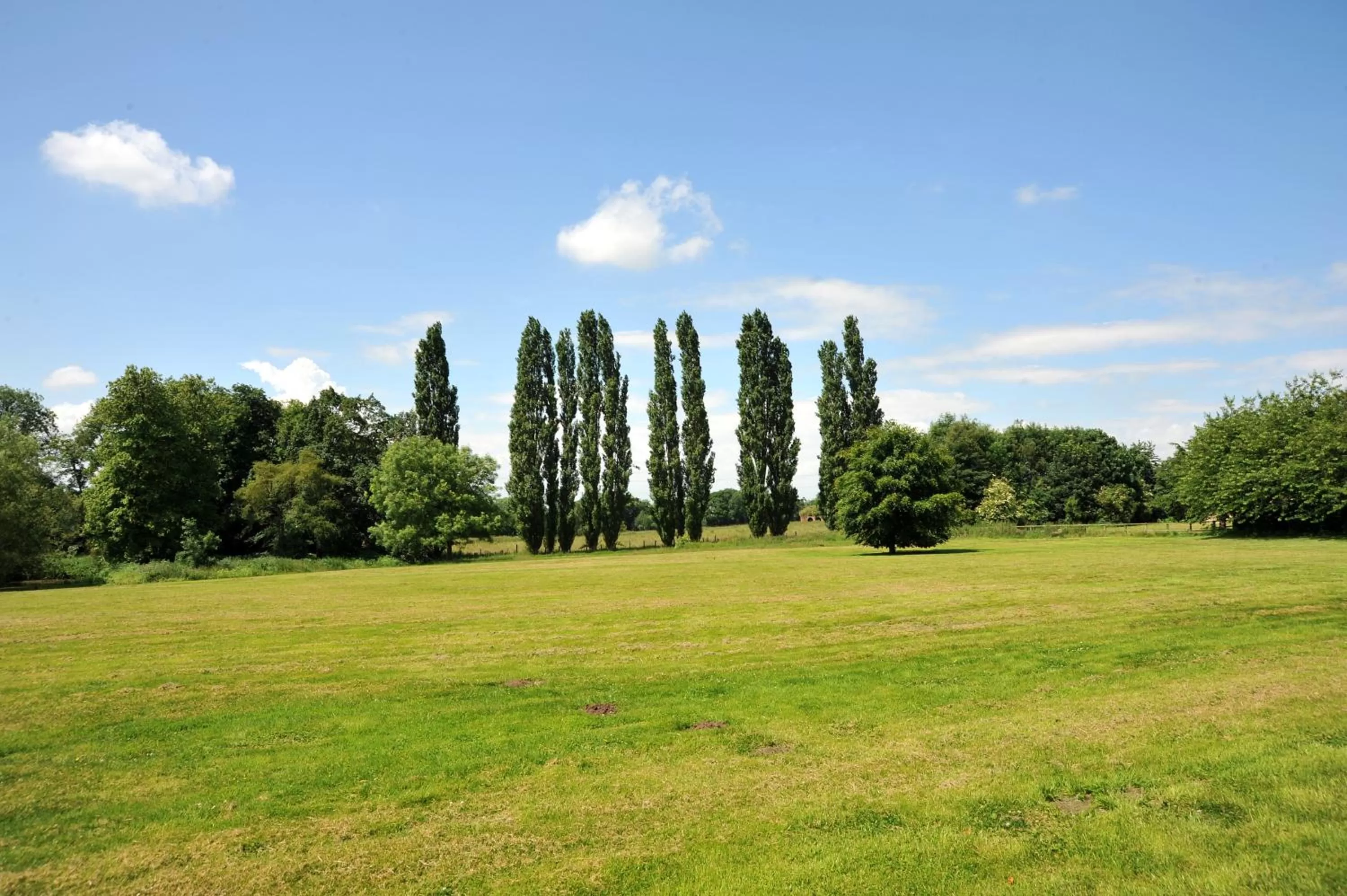 Garden in Mercure York Fairfield Manor Hotel
