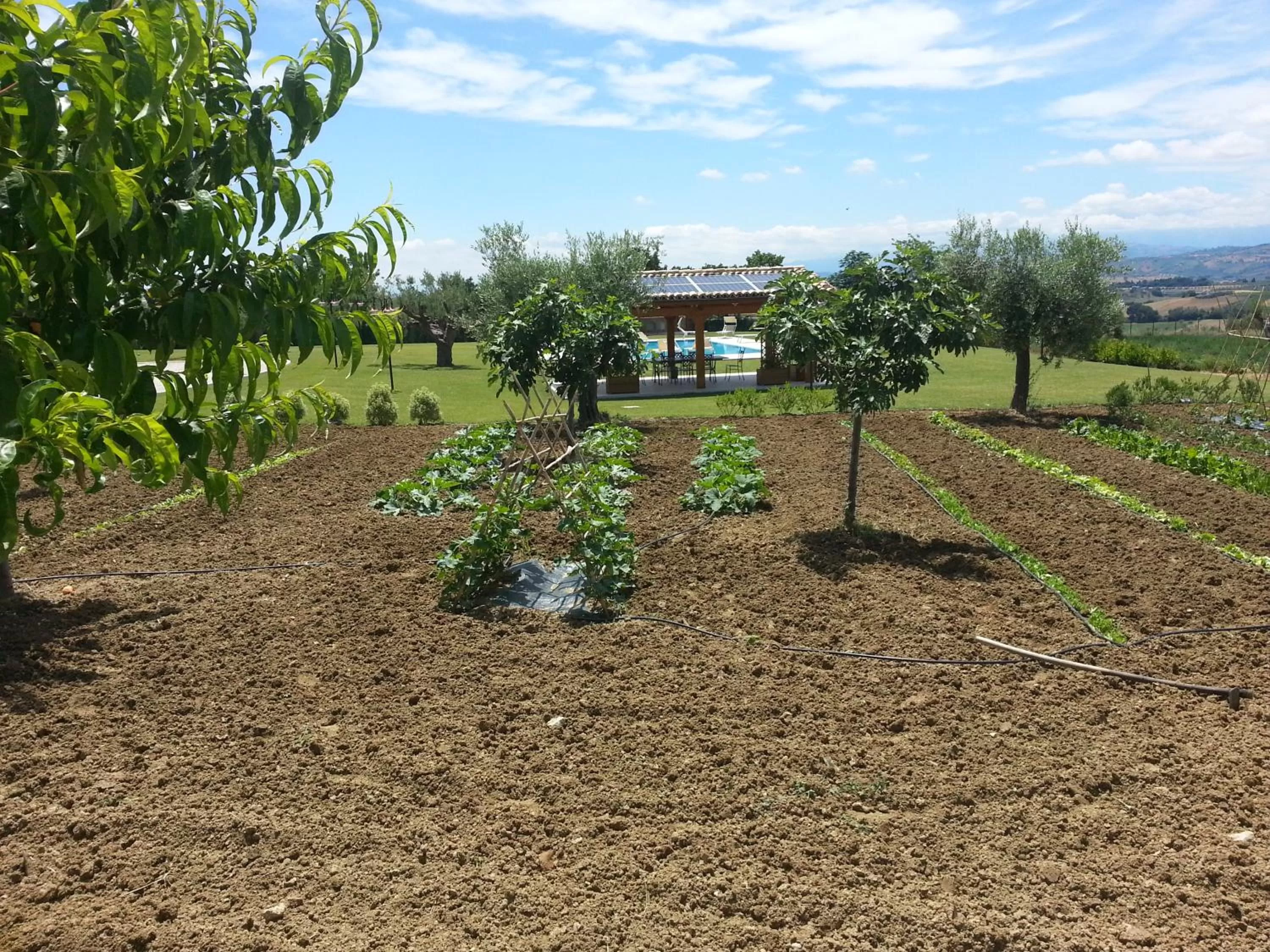 Residence Colle Veroni