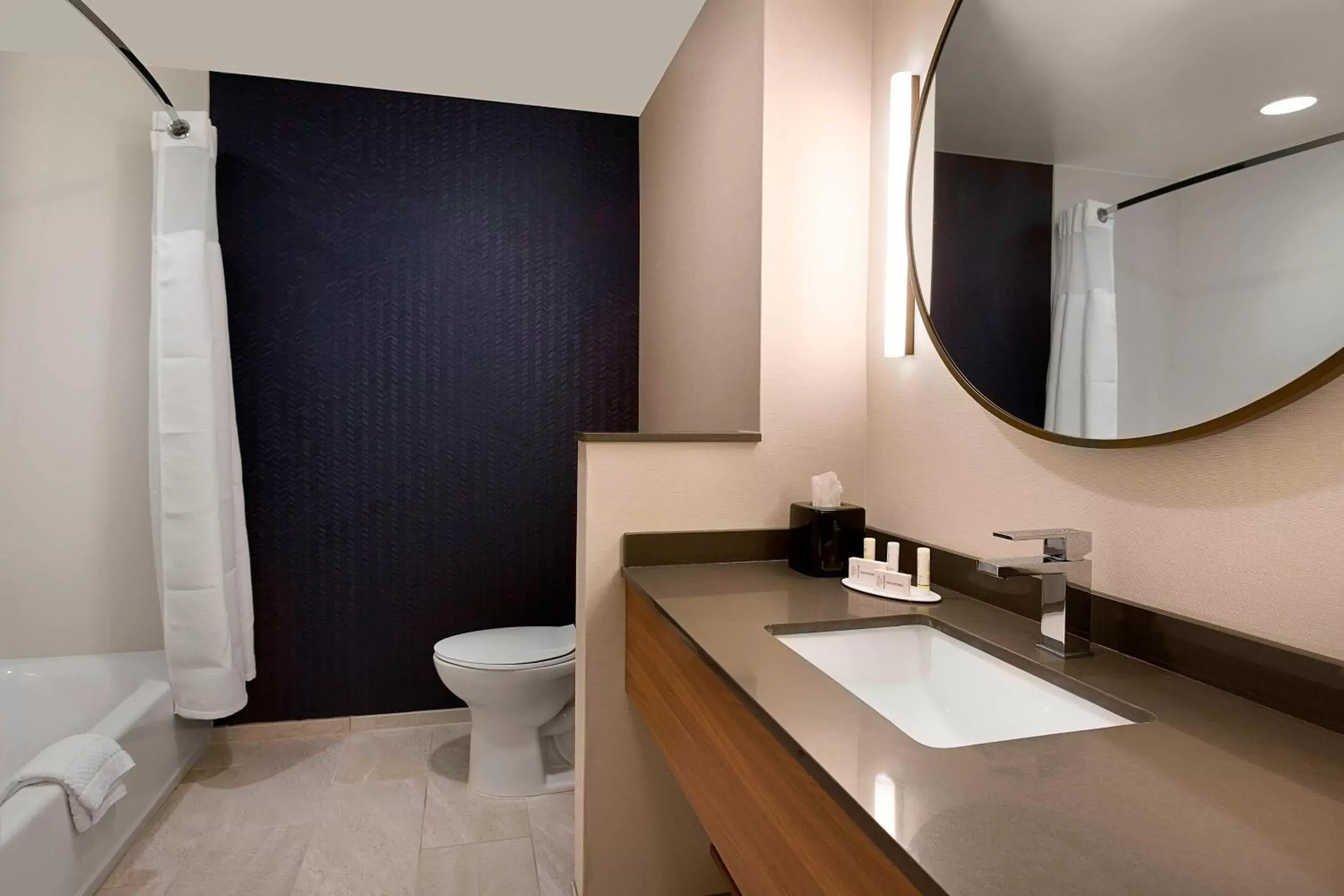 Bathroom in Fairfield Inn & Suites by Marriott Shelby