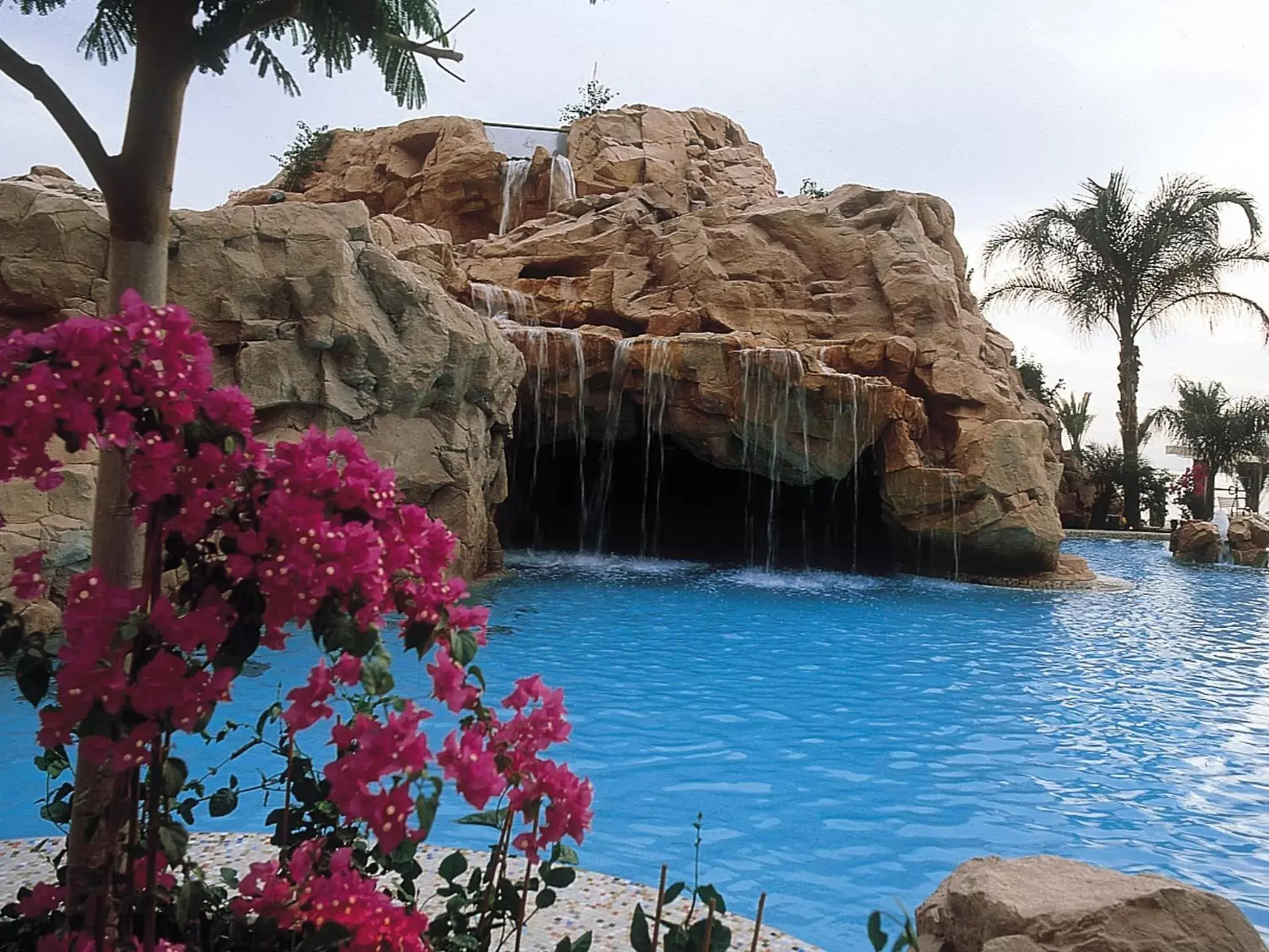 Swimming pool in Dan Eilat Hotel