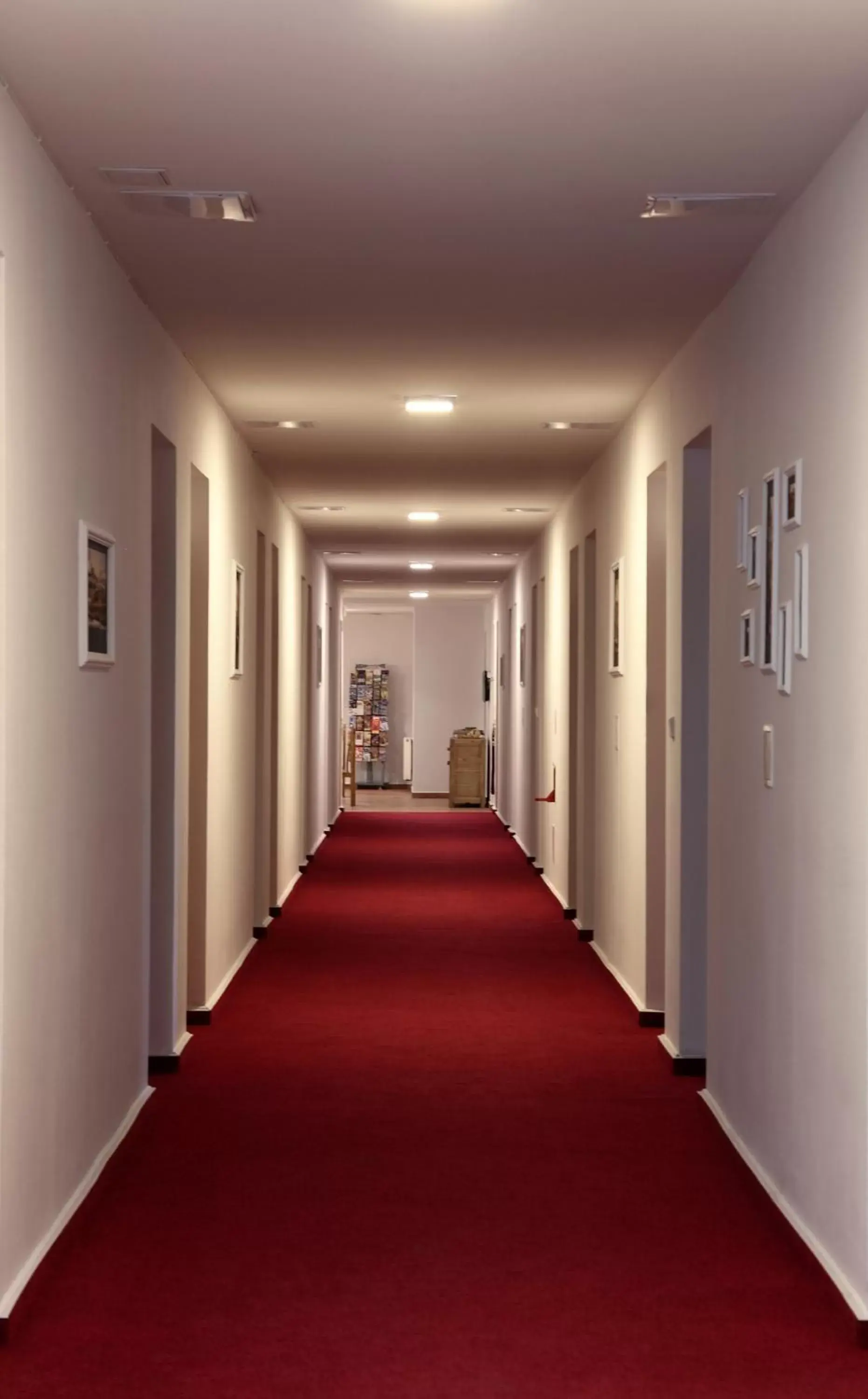 Area and facilities in Hotel Arko