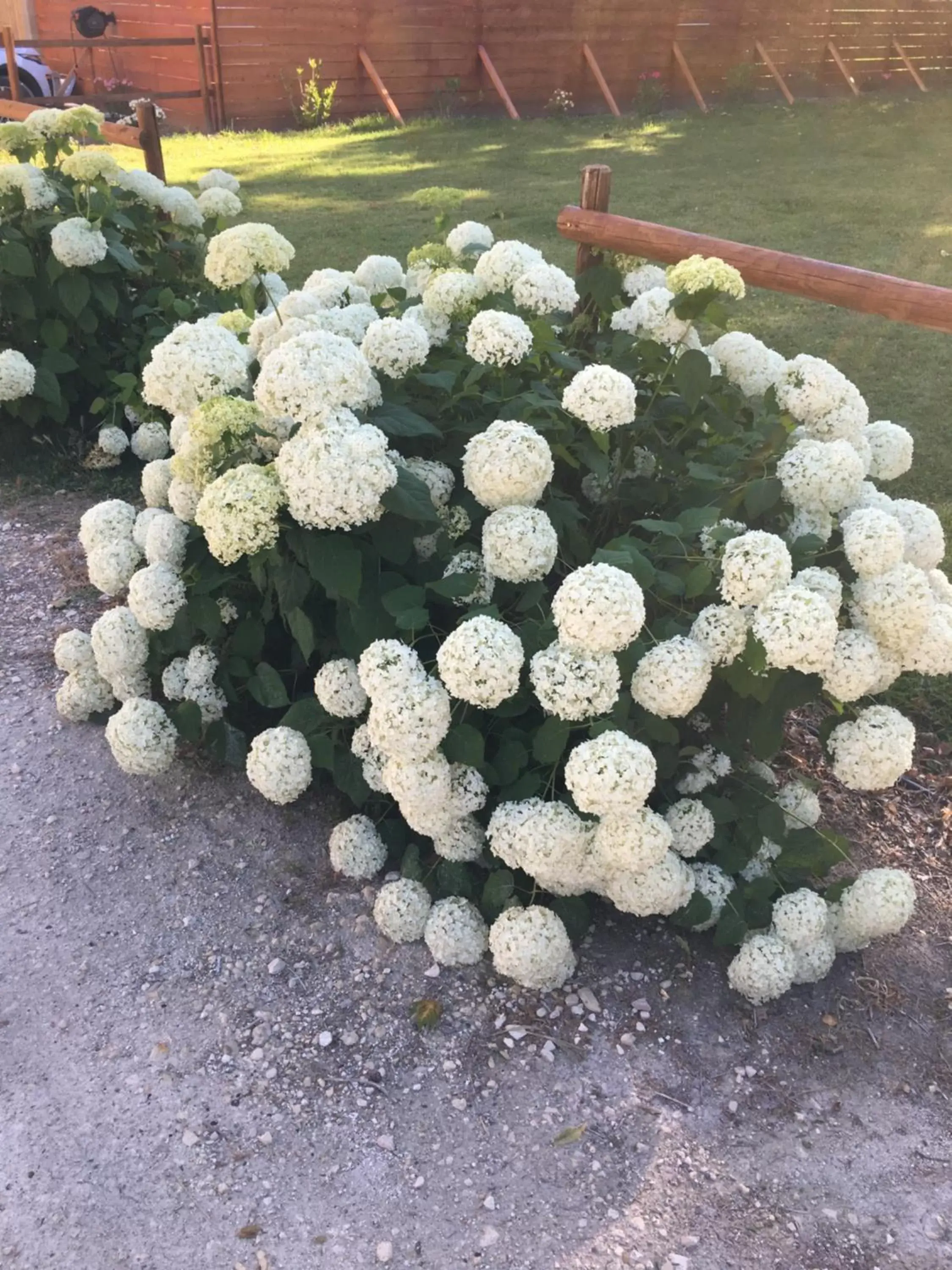 Garden in Désir'ôôm