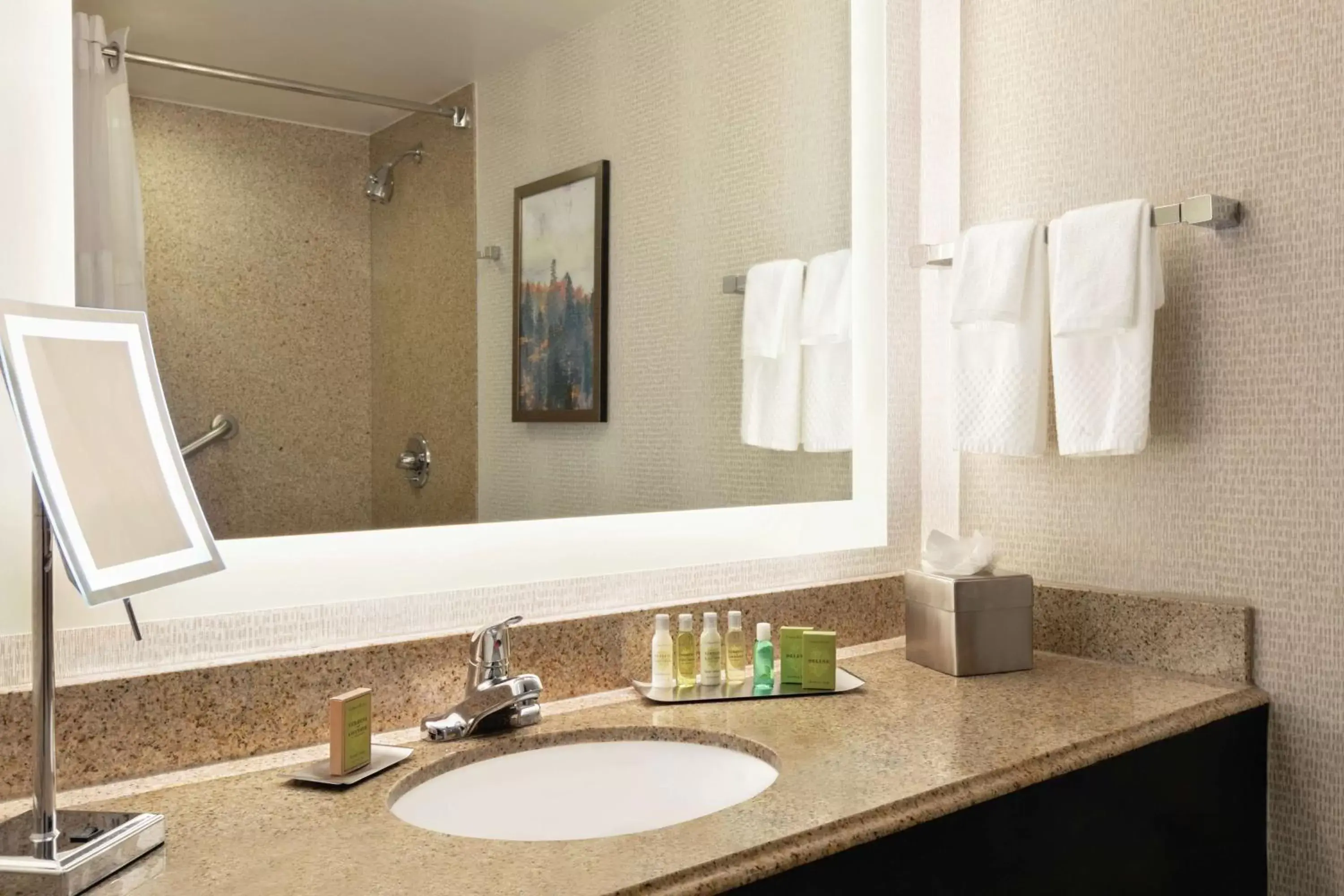 Bathroom in DoubleTree by Hilton Atlanta Northeast/Northlake