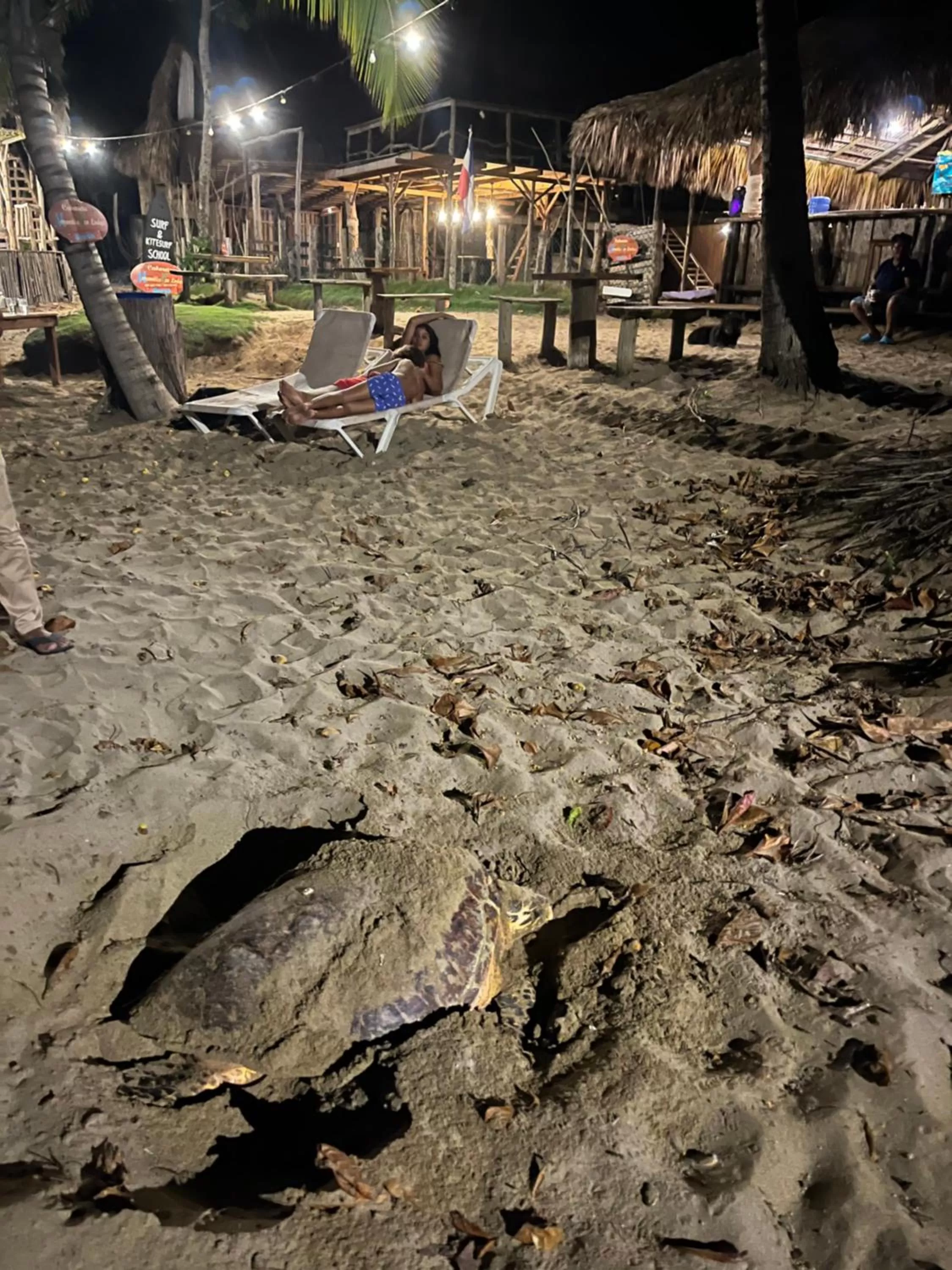 Cabarete Maravilla Eco Lodge Boutique Beach Surf Encuentro, Kite, by AA Crypto Group