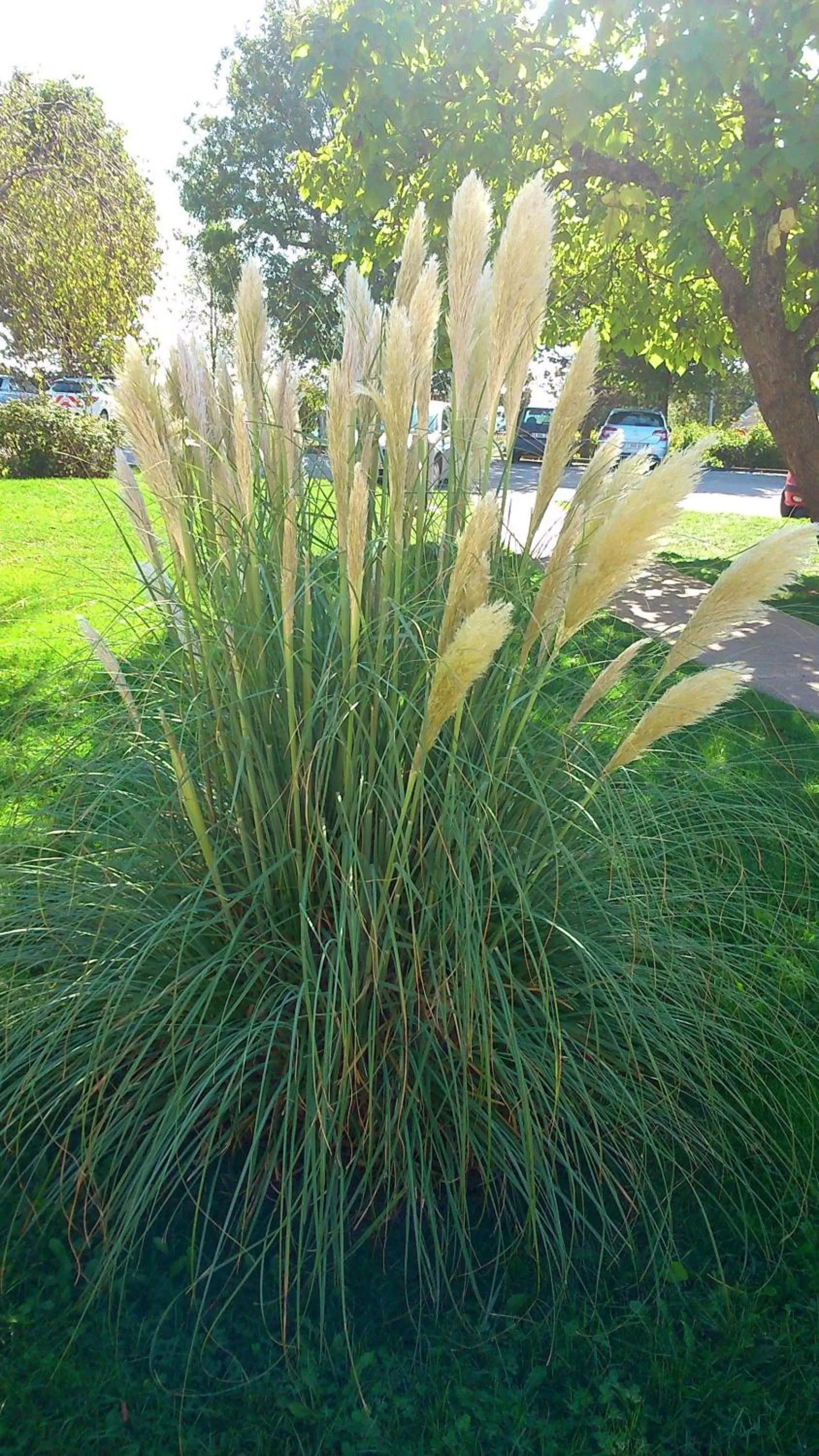 Garden in Hotel Campanile Besançon Nord Ecole Valentin