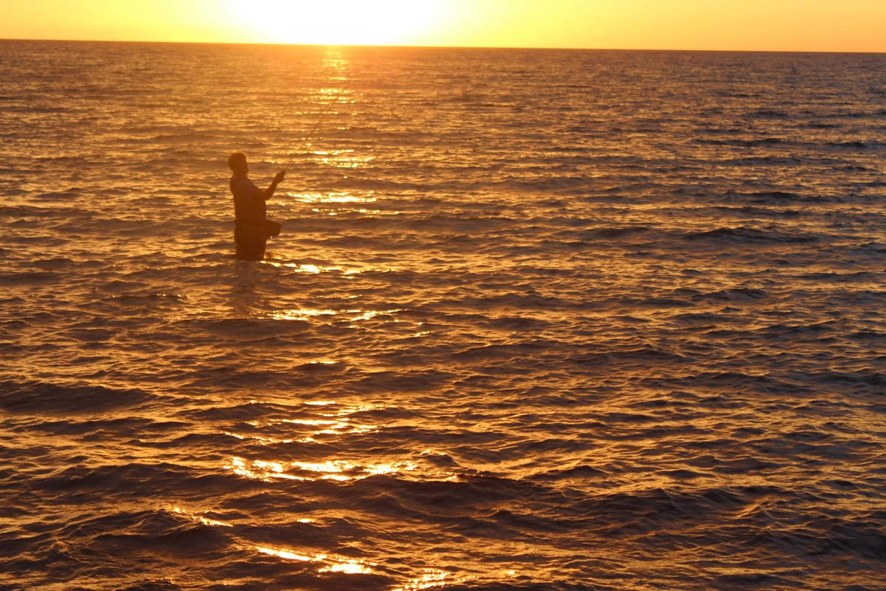 Natural landscape, Sunrise/Sunset in Kysthusene Gilleleje