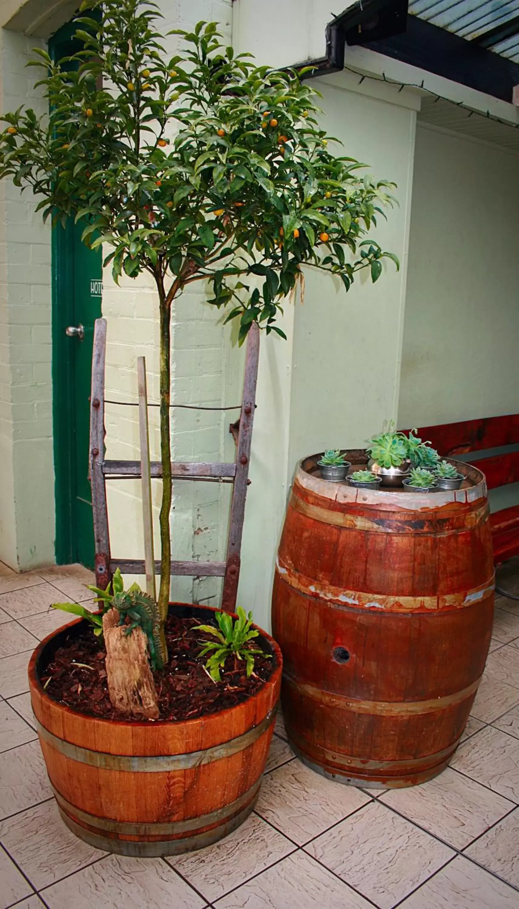 Garden in Southern Railway Hotel Goulburn