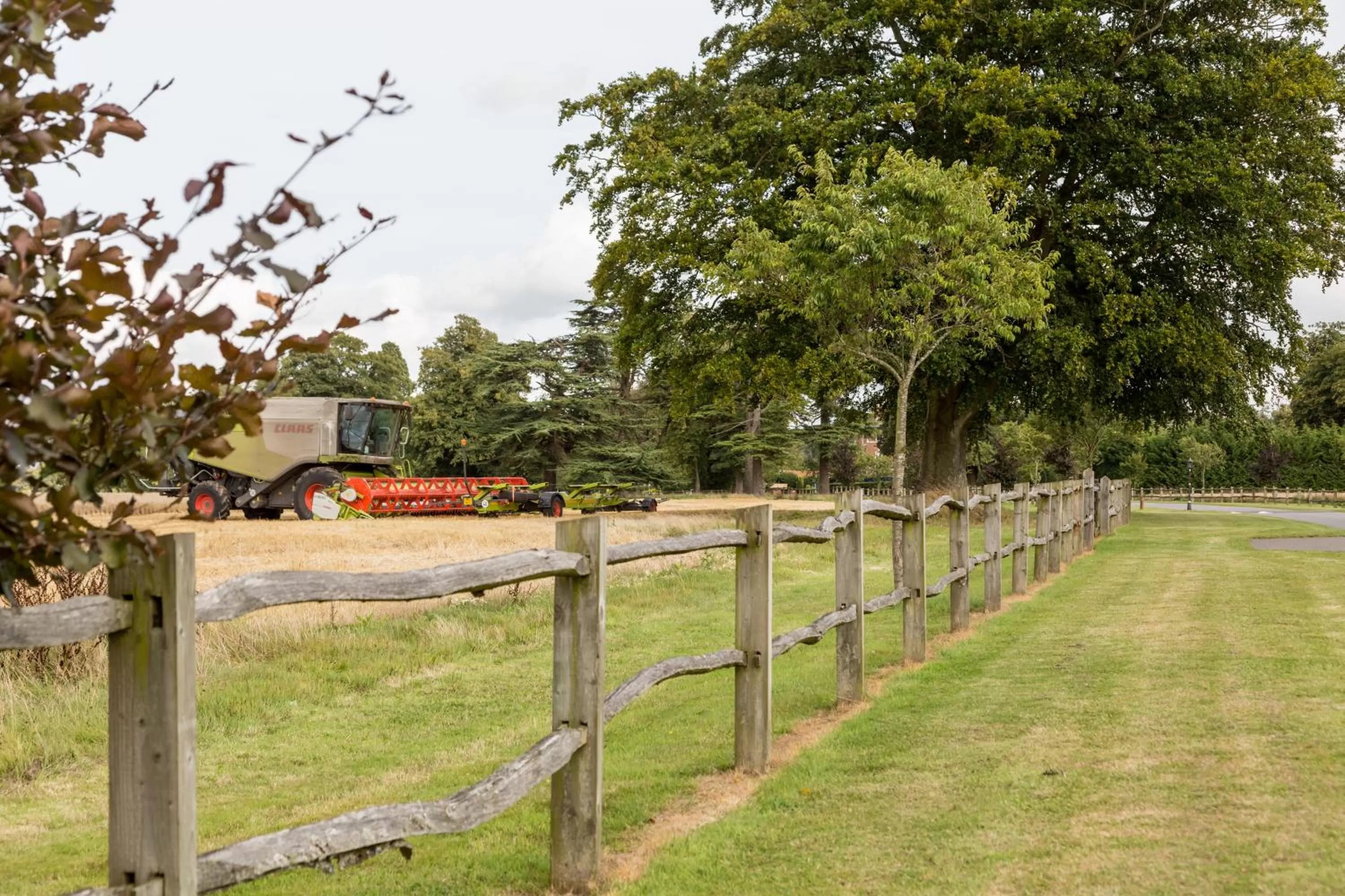 Garden in Oakley Hall Hotel