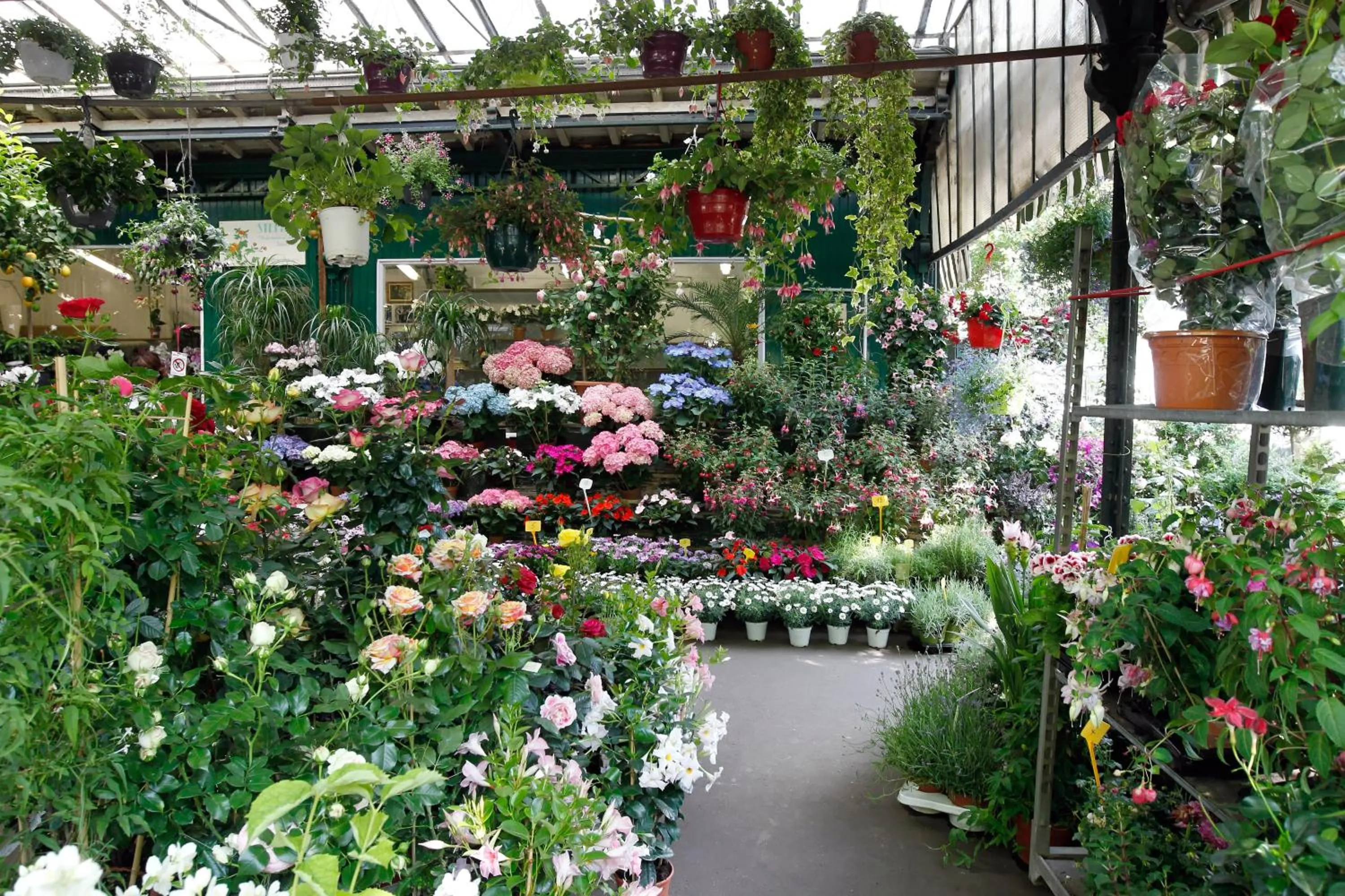 Nearby landmark in Hotel des Deux-Iles - Notre-Dame