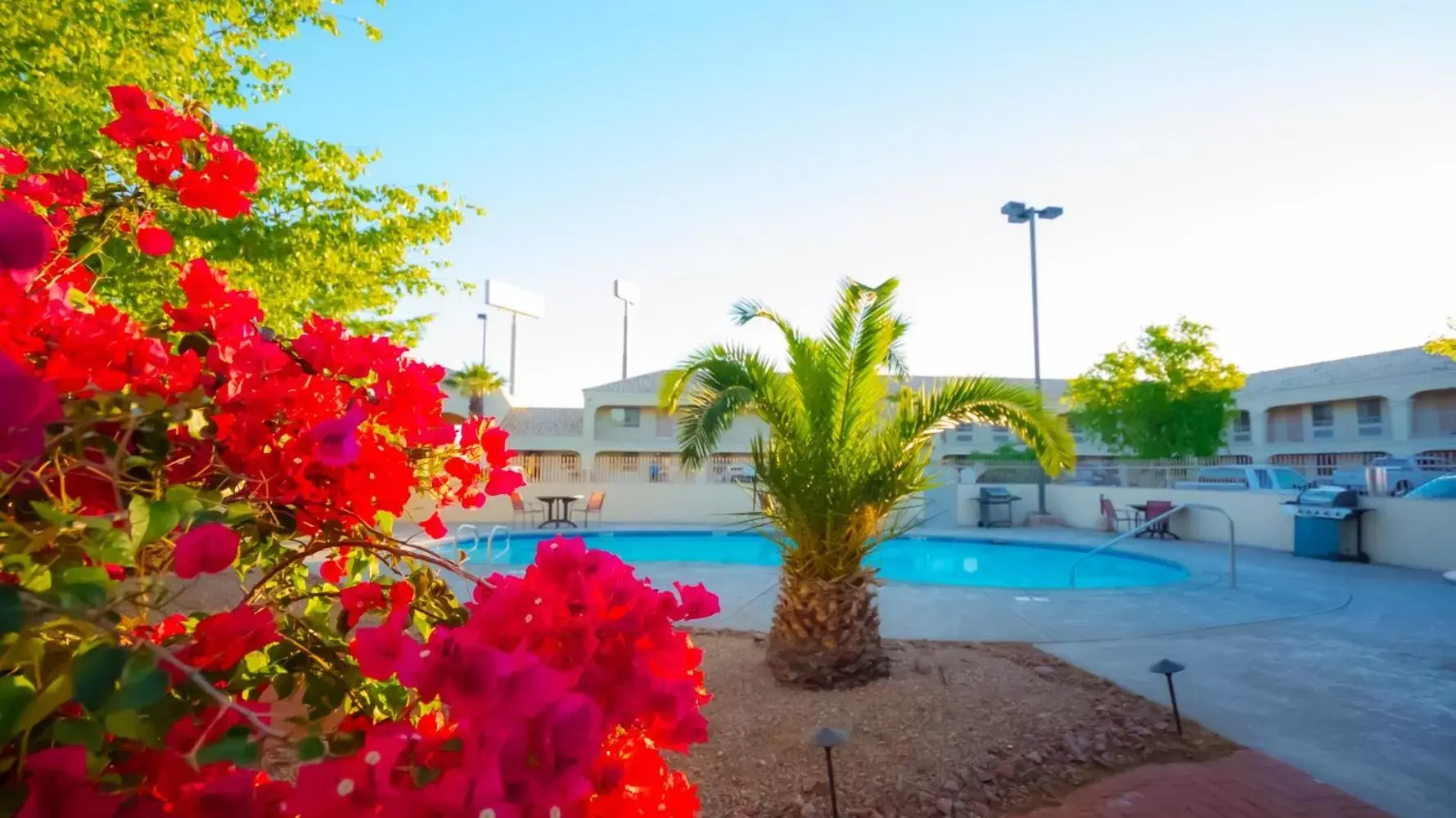 Pool view, Swimming Pool in Rio Del Sol Inn Needles