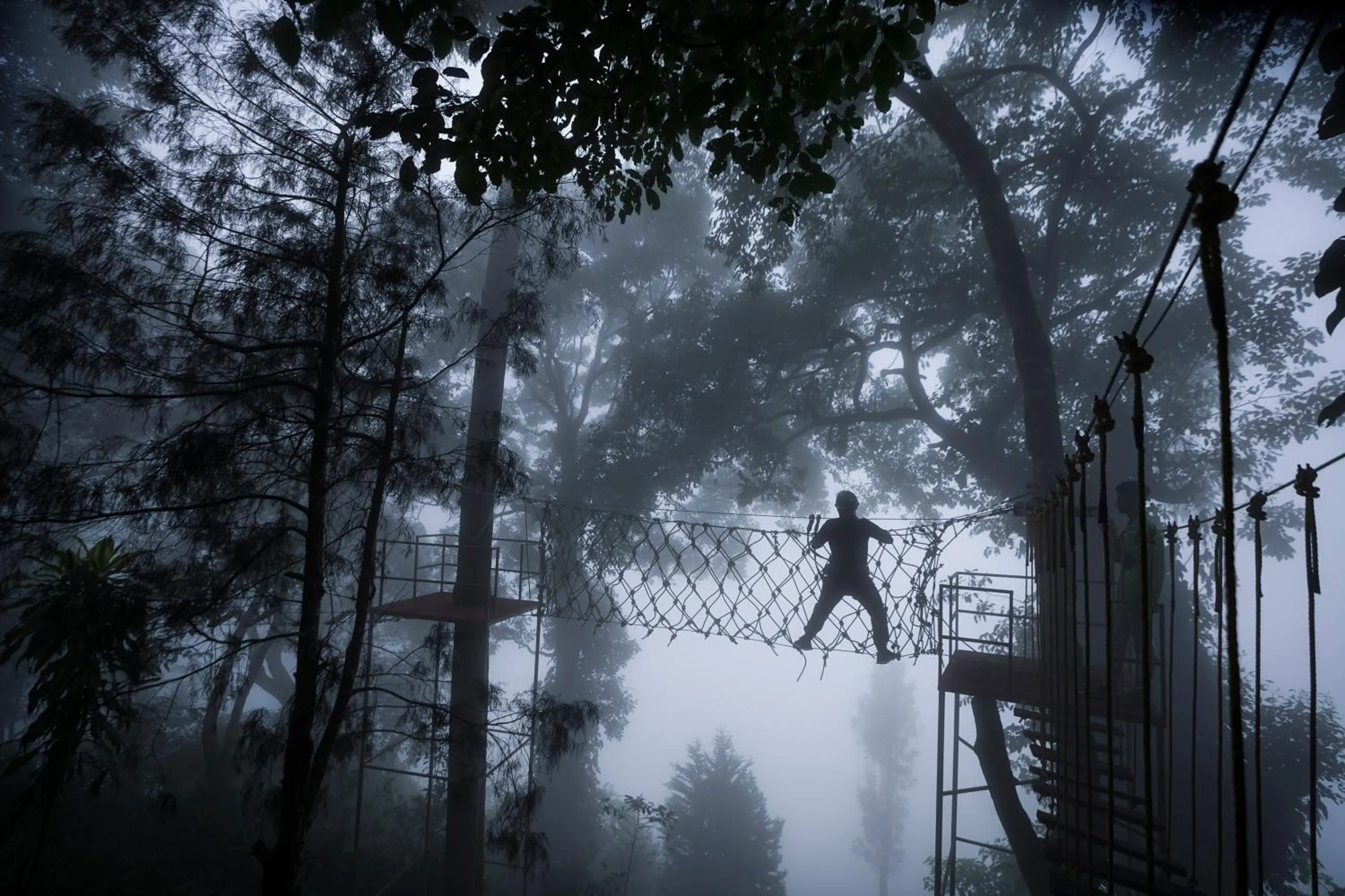 Activities in Tea Valley Resort, Munnar