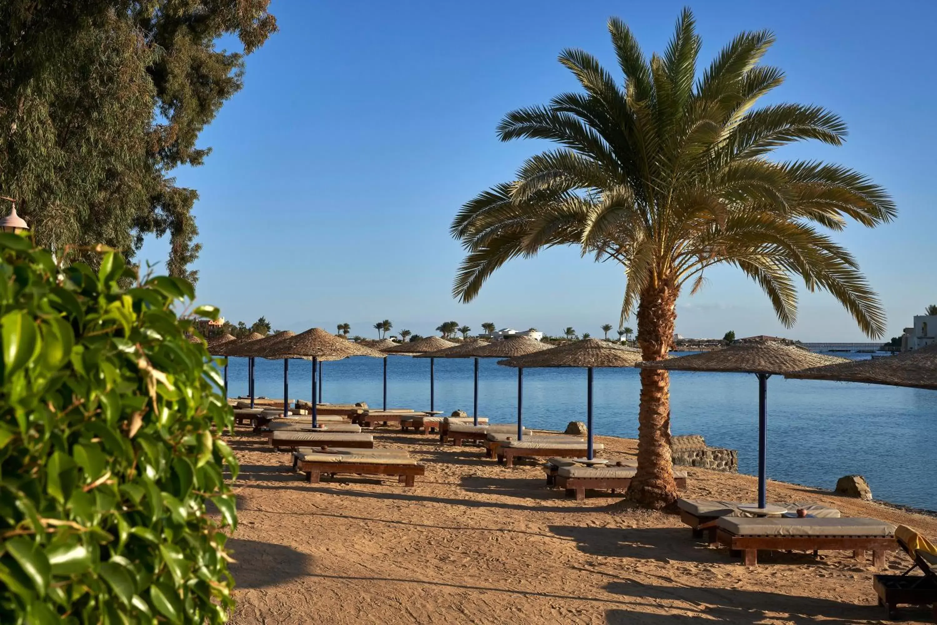 Beach, Swimming Pool in Hotel Sultan Bey Resort