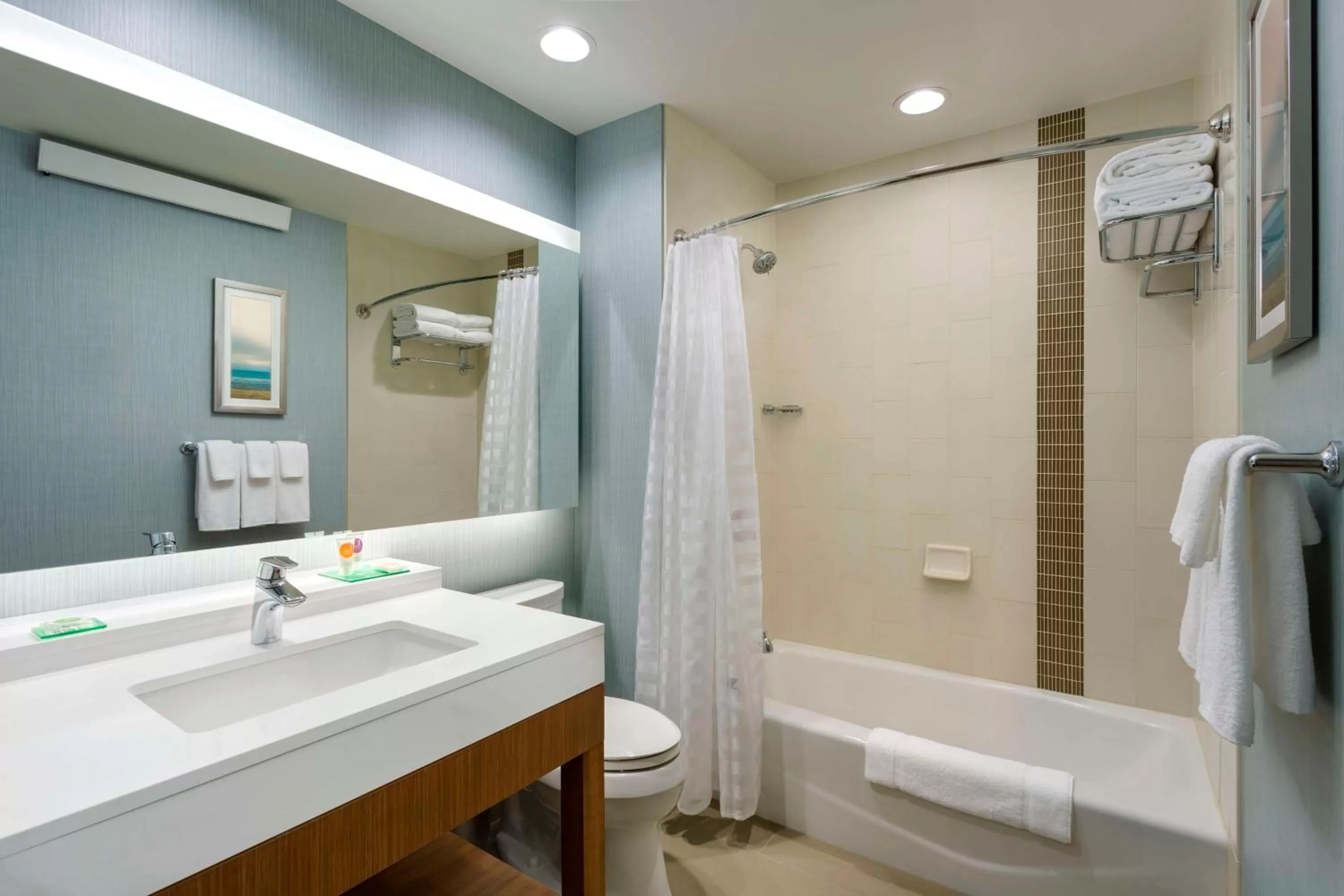 Hyatt Place Chicago/Downtown - The Loop