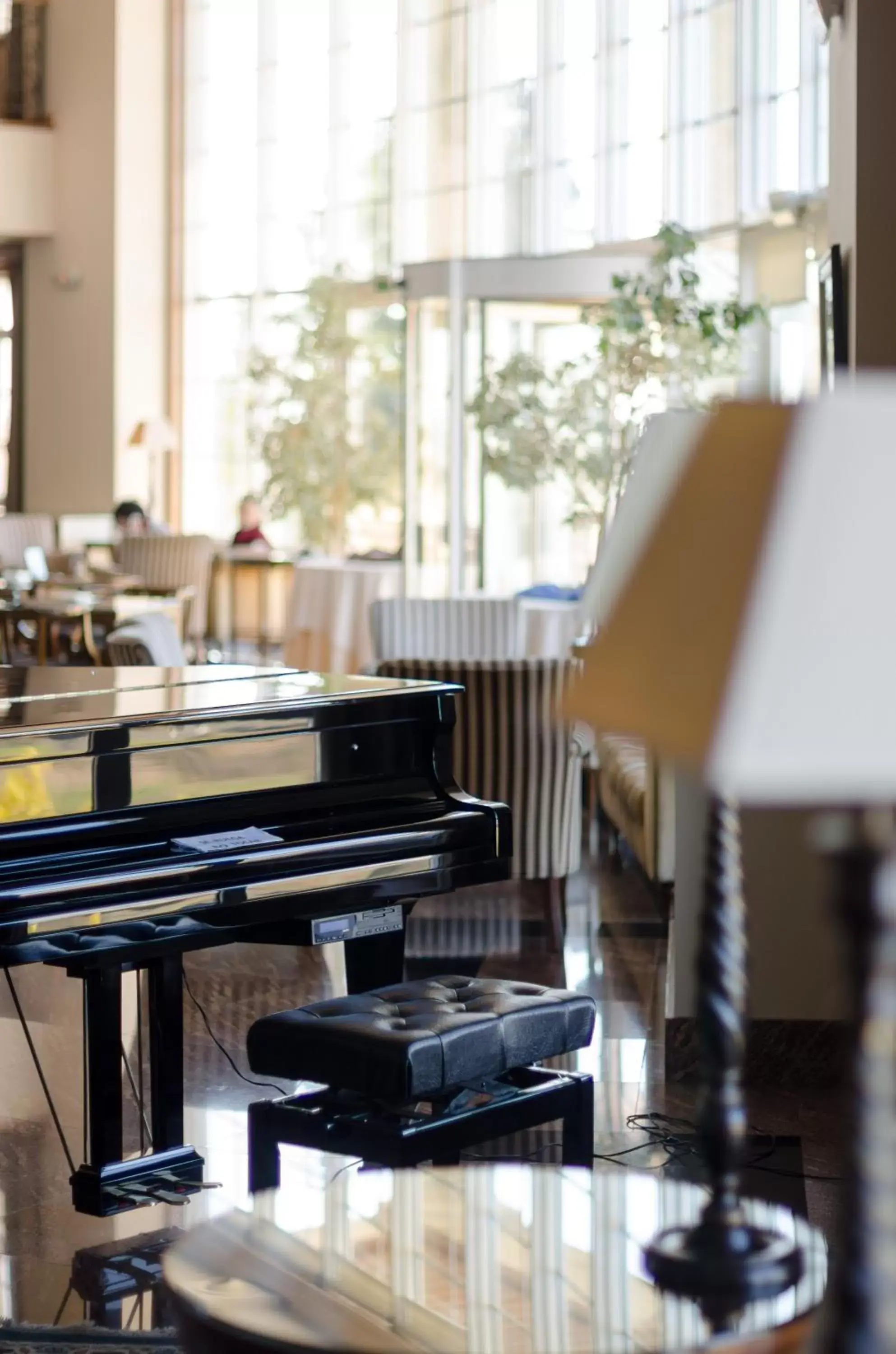 Lobby or reception, Restaurant/Places to Eat in Gran Hotel Los Abetos