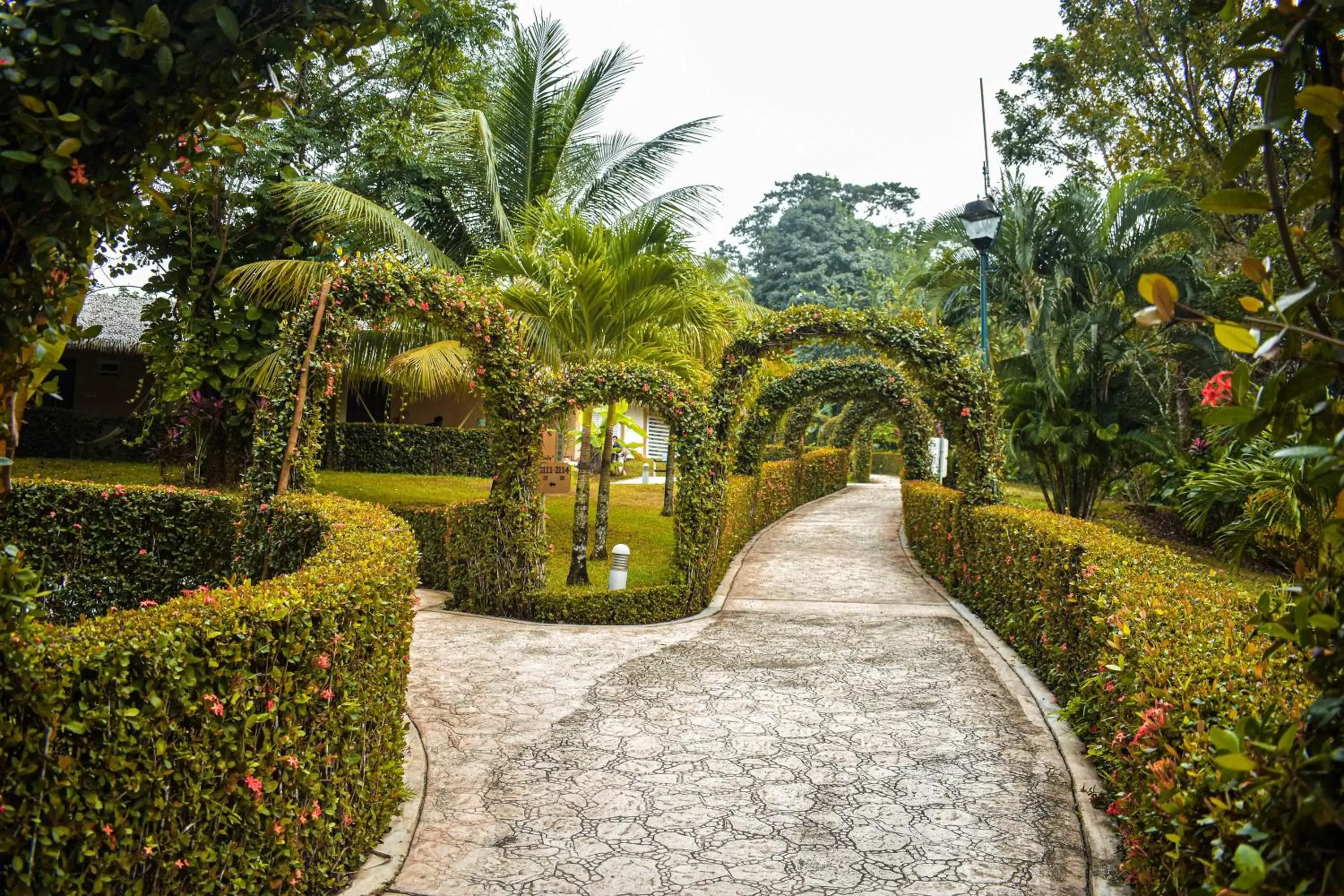 Garden in Hotel Villa Mercedes Palenque