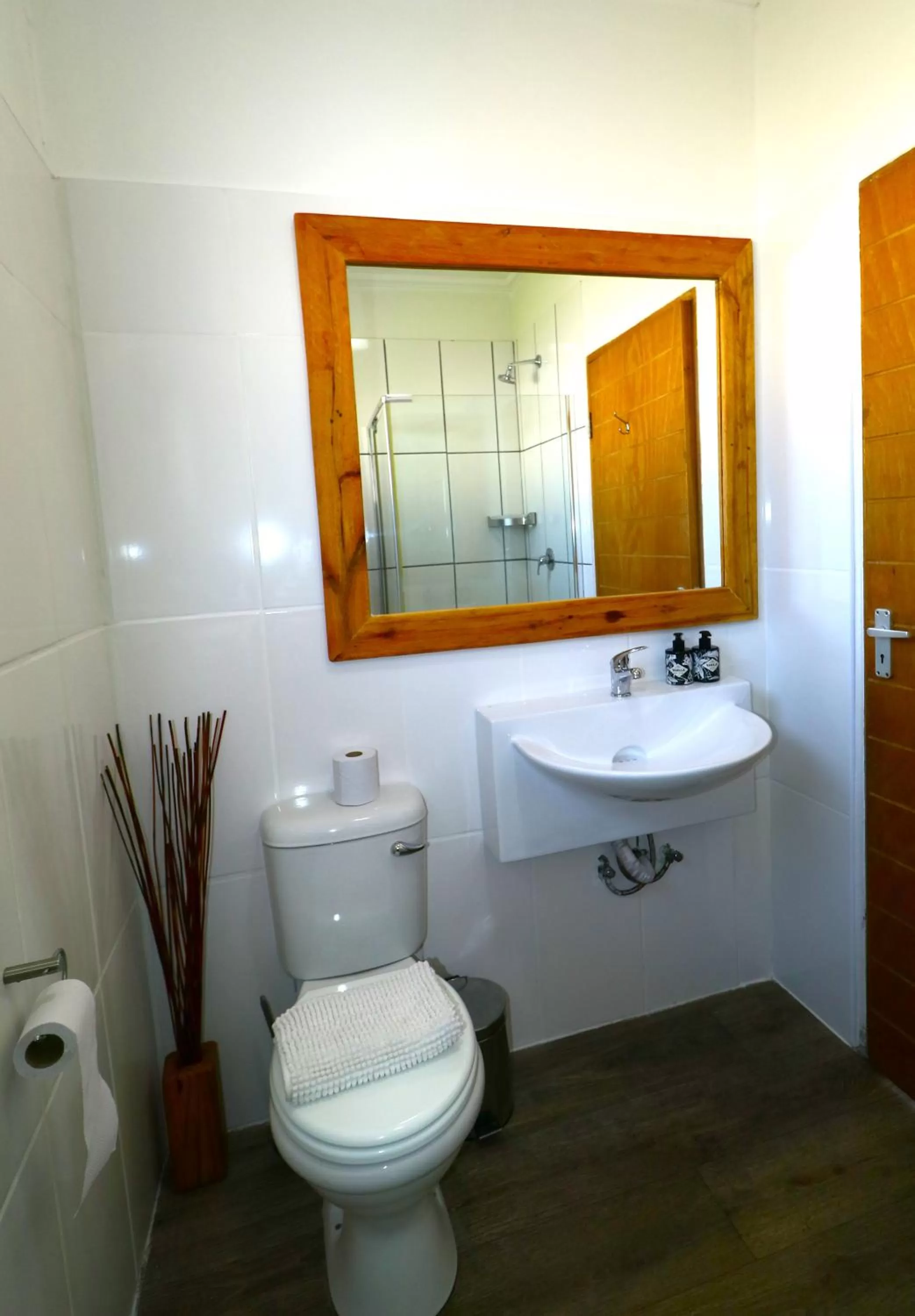 Toilet, Bathroom in Tiende Laan Bed & Breakfast and Self-Catering