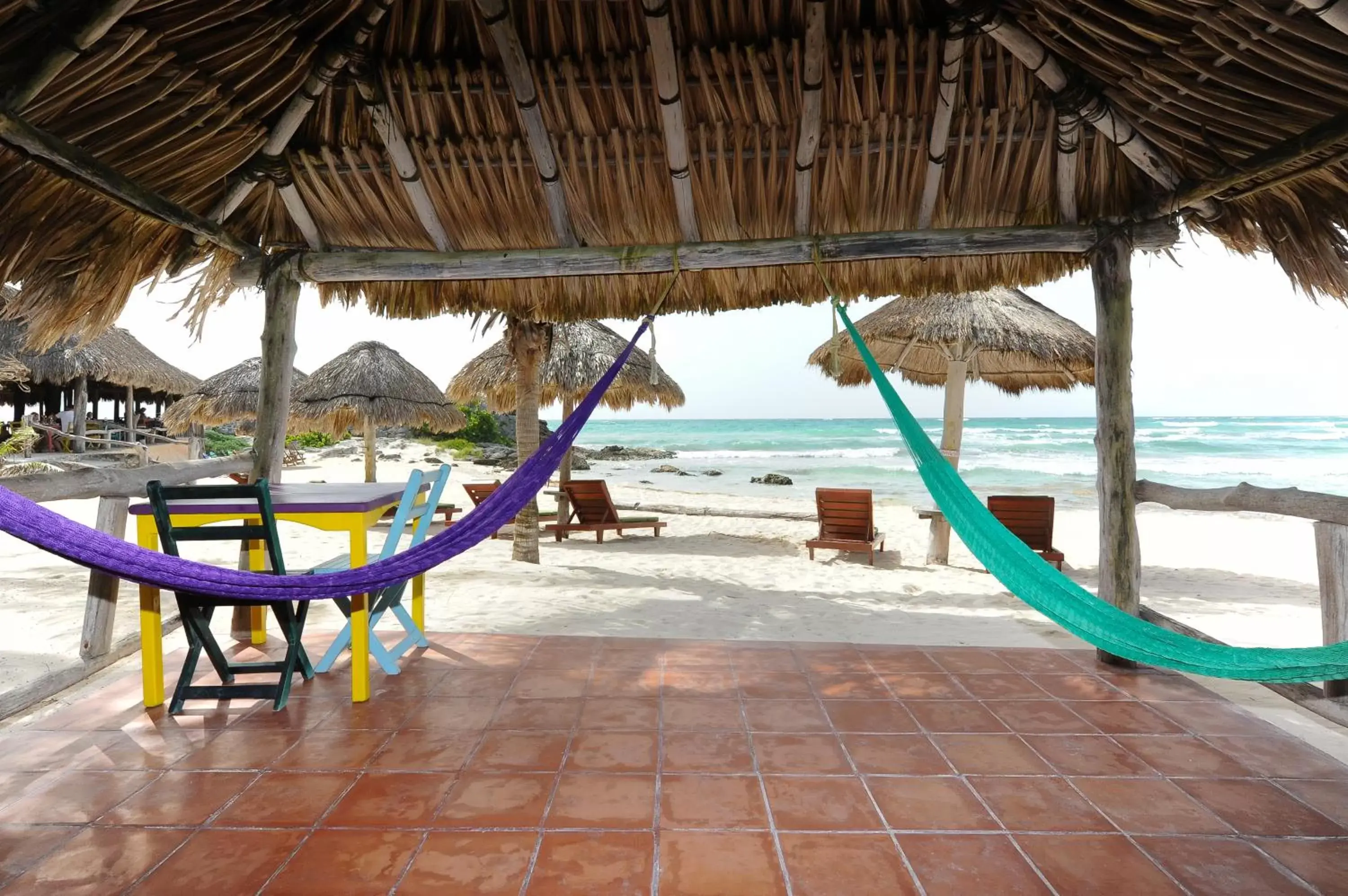 Patio, Beach in Zamas Hotel