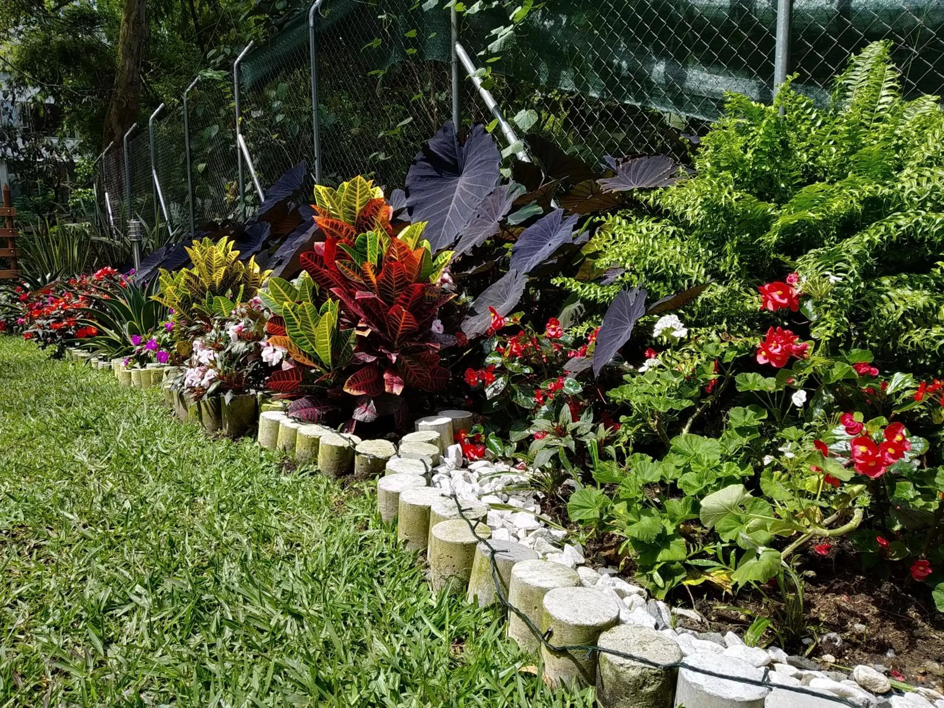 Garden in Café Hotel Medellín