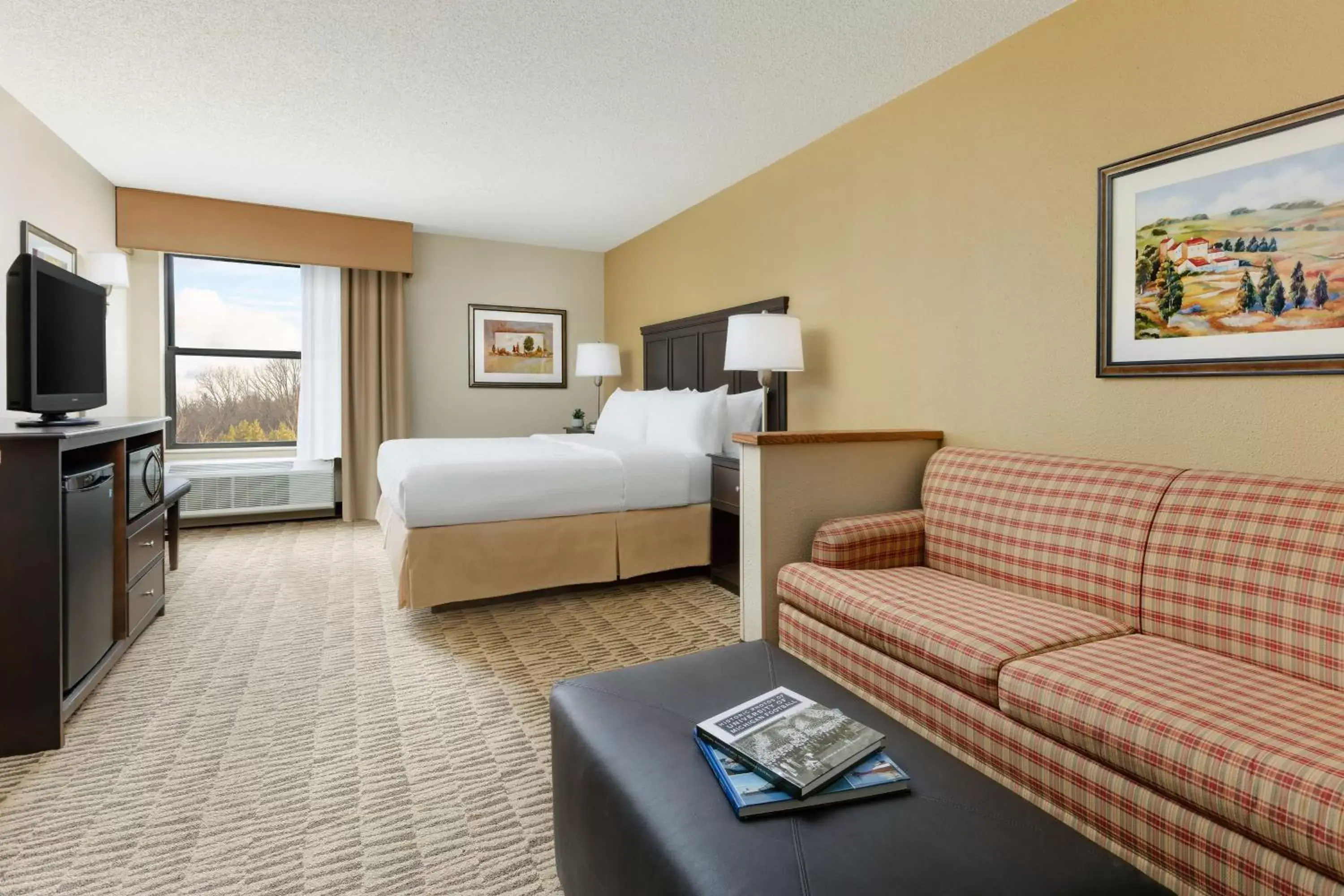 Executive King Room with Sofa Bed - Non-Smoking in Countryside Inn Jackson Executive King Room with Sofa Bed - Non-Smoking in Countryside Inn Jackson