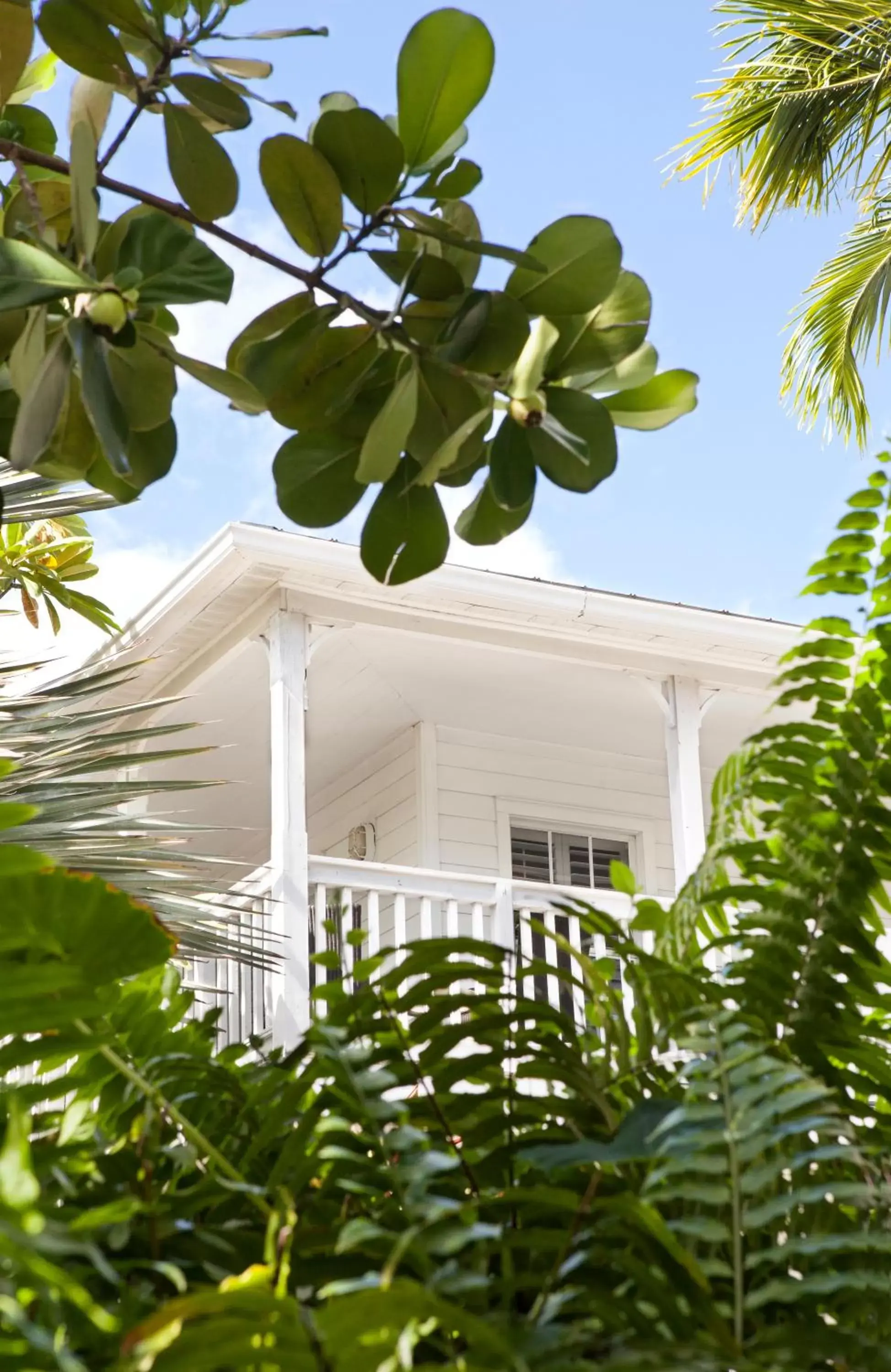 Facade/entrance in Paradise Inn - Adult Exclusive Facade/entrance in Paradise Inn - Adult Exclusive