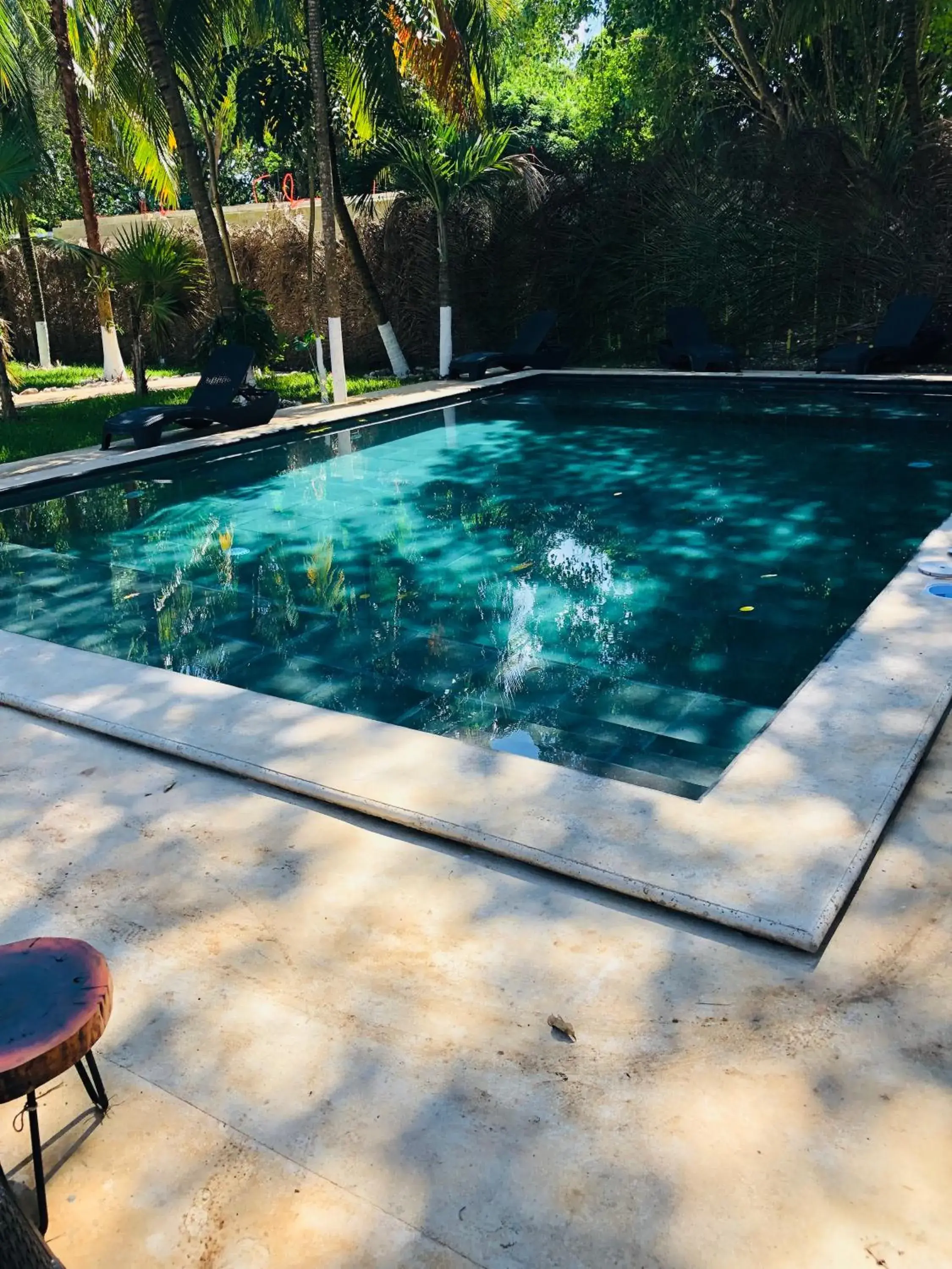 Swimming Pool in Tierra maya Hotel & Sanctuary