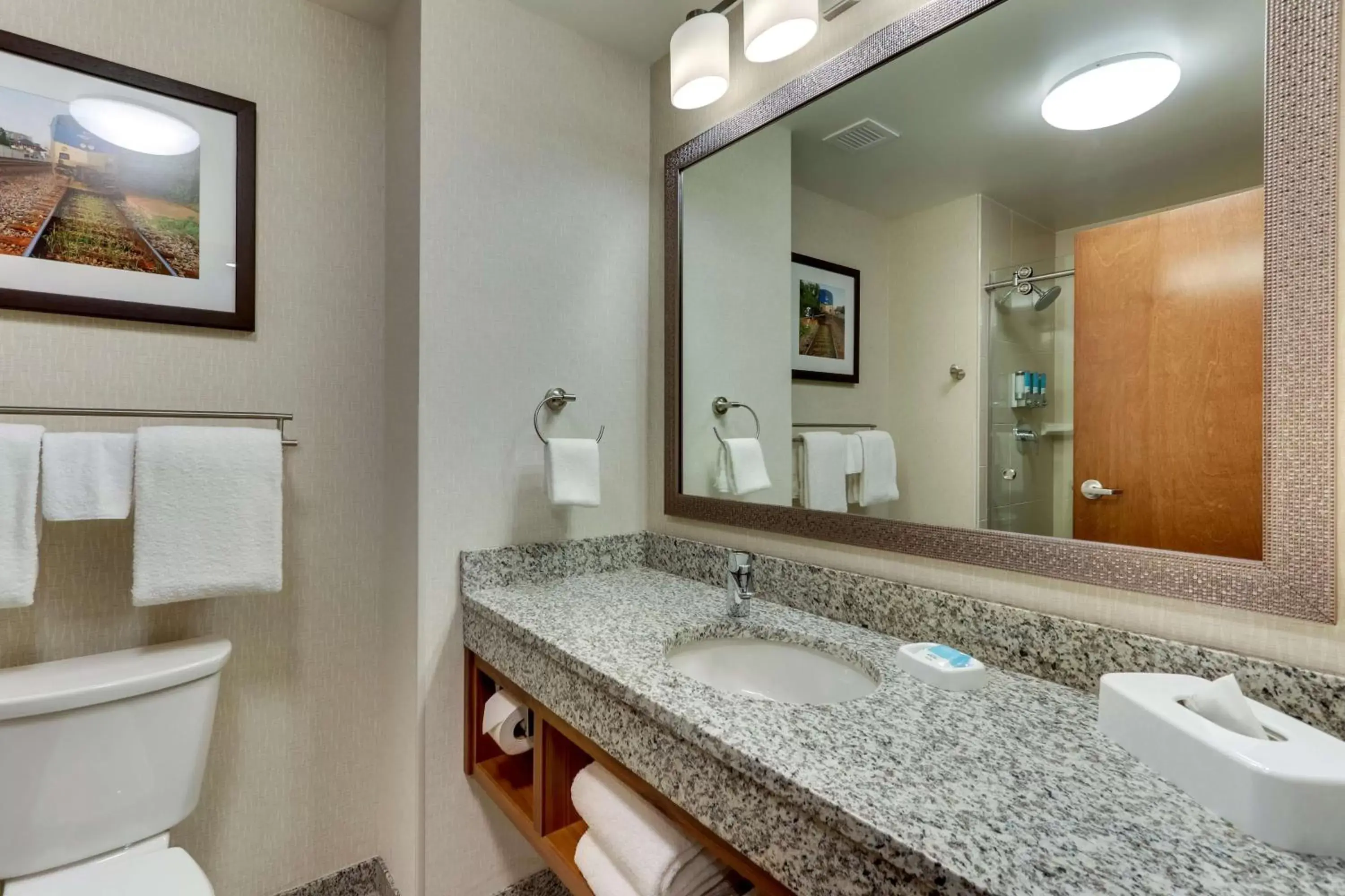 Bathroom in Drury Inn & Suites Lafayette IN