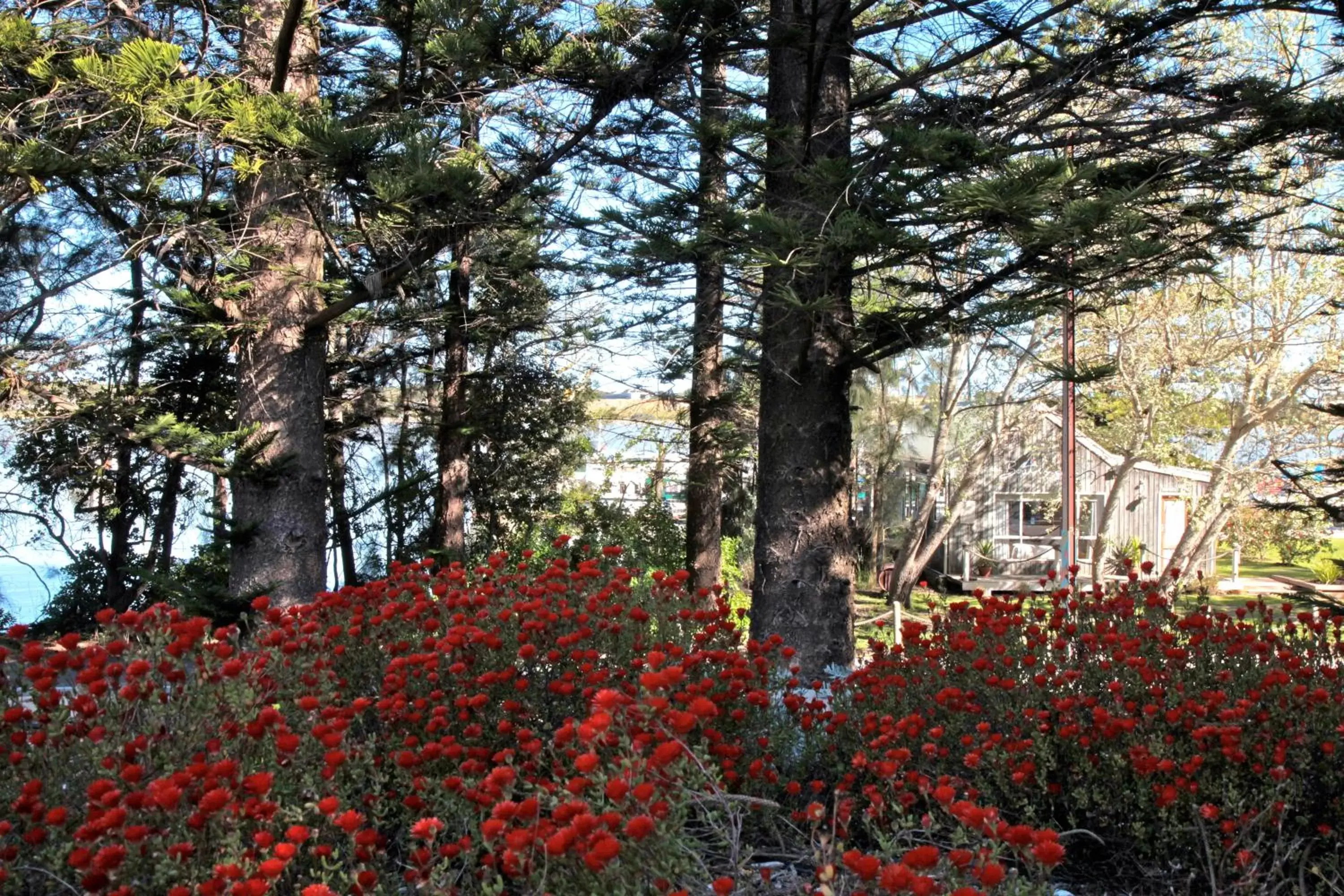 Garden in Boathouse - Birks River Retreat