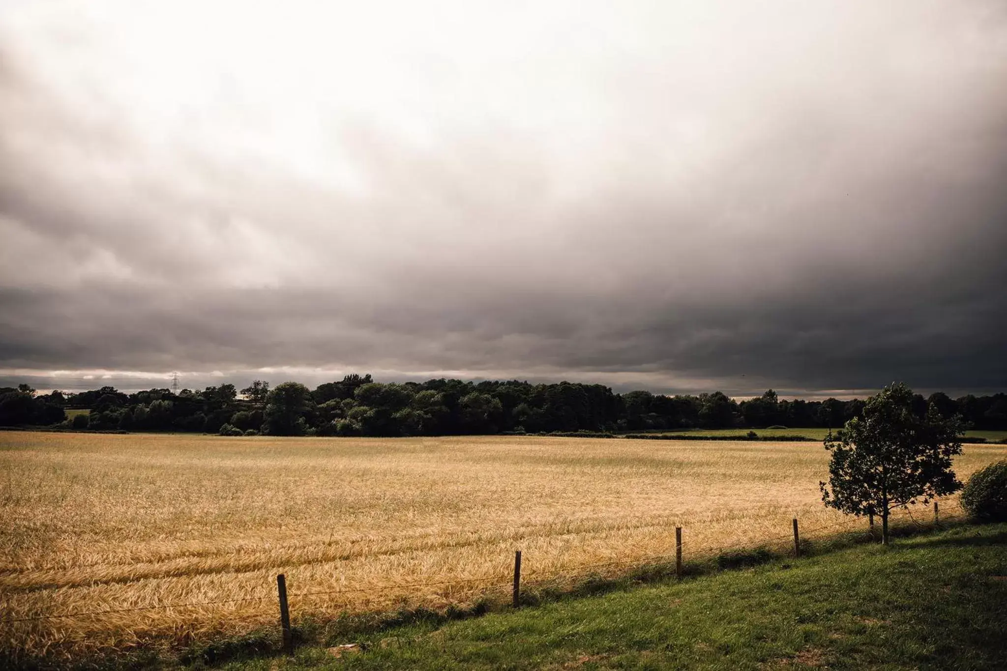 Natural Landscape in Manor House Hotel & Spa, Alsager