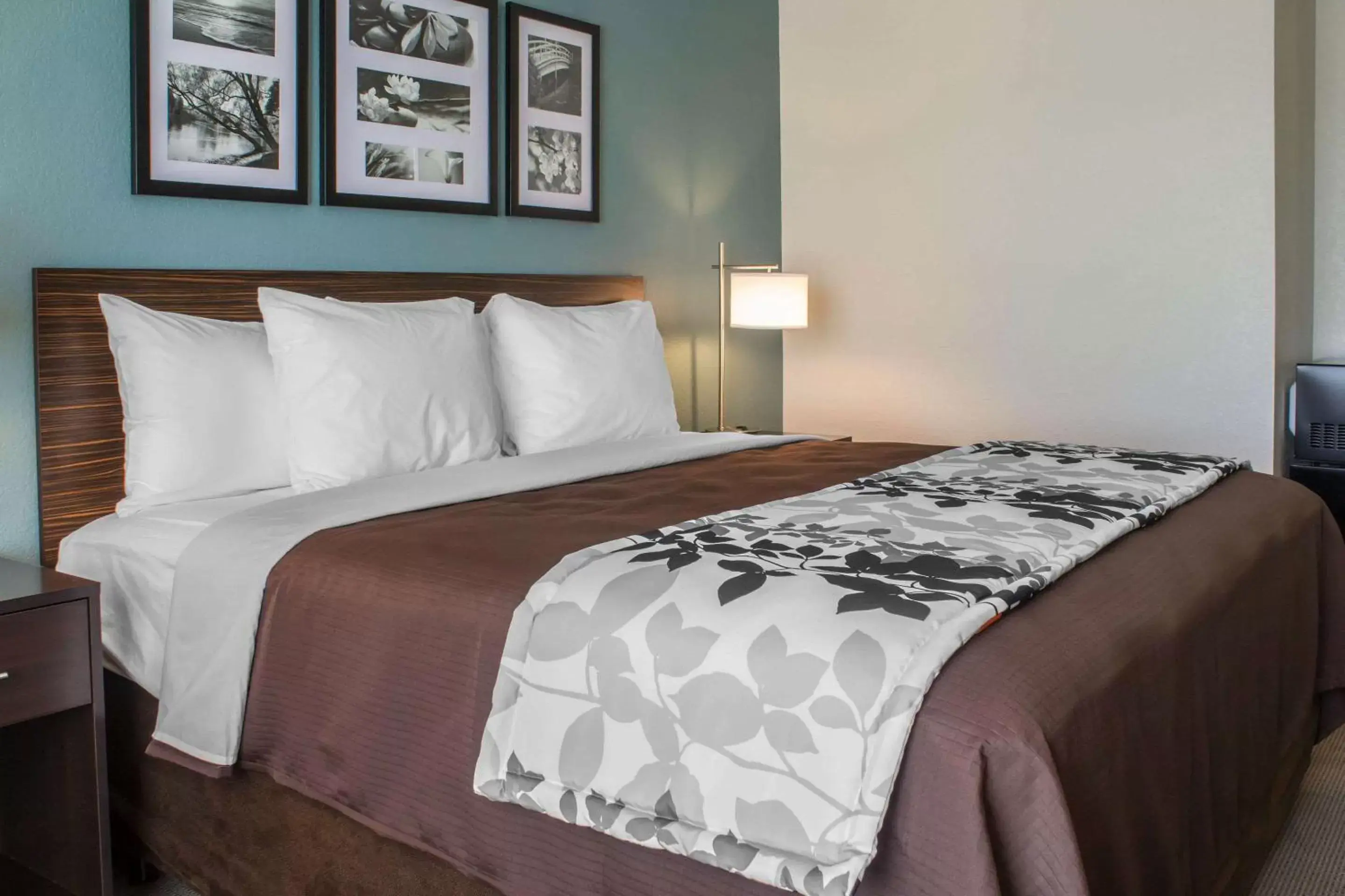 Bedroom, Bed in Sleep Inn & Suites Fort Dodge