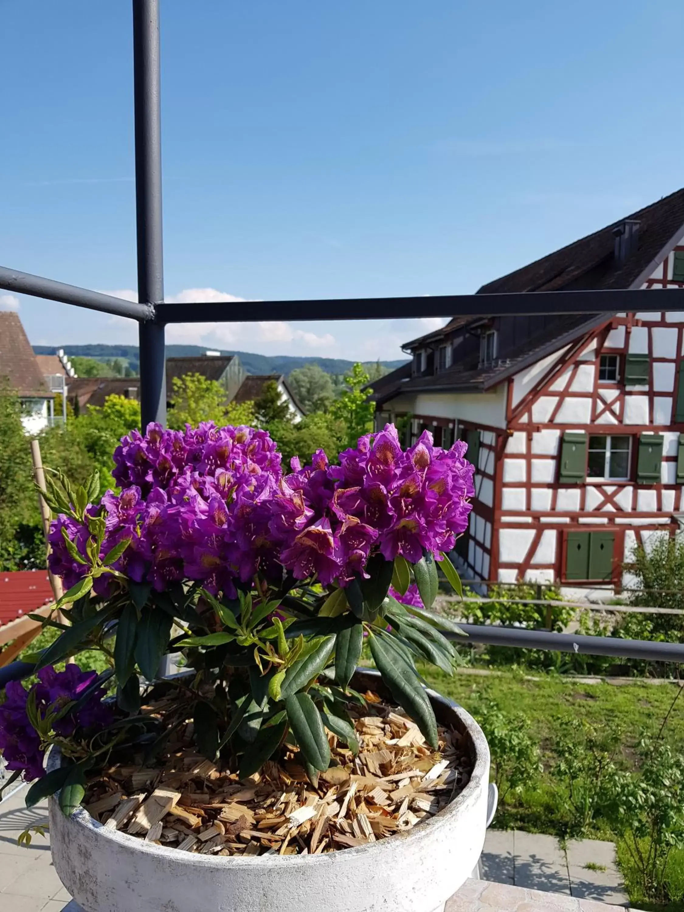 Balcony/Terrace in Garni-Hotel Mühletal