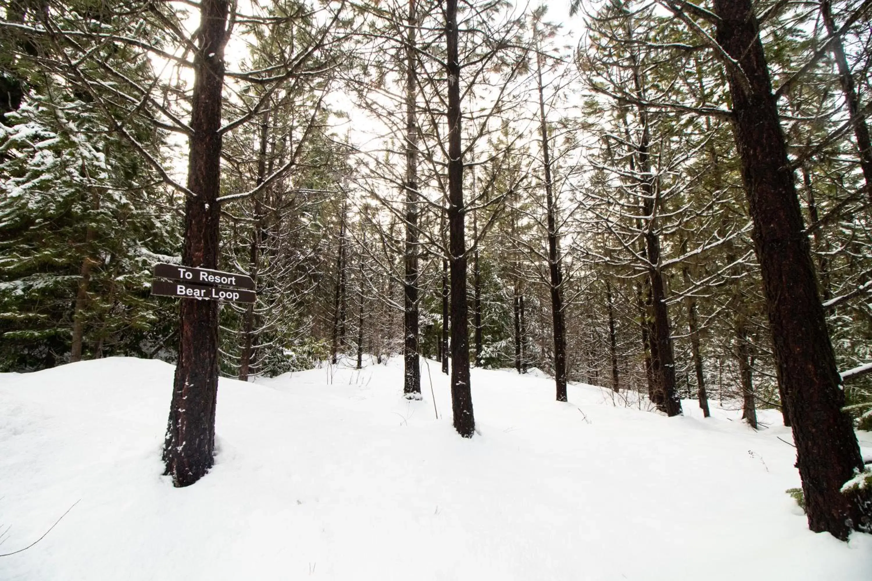 Skiing, Winter in Cooper Spur Mountain Resort