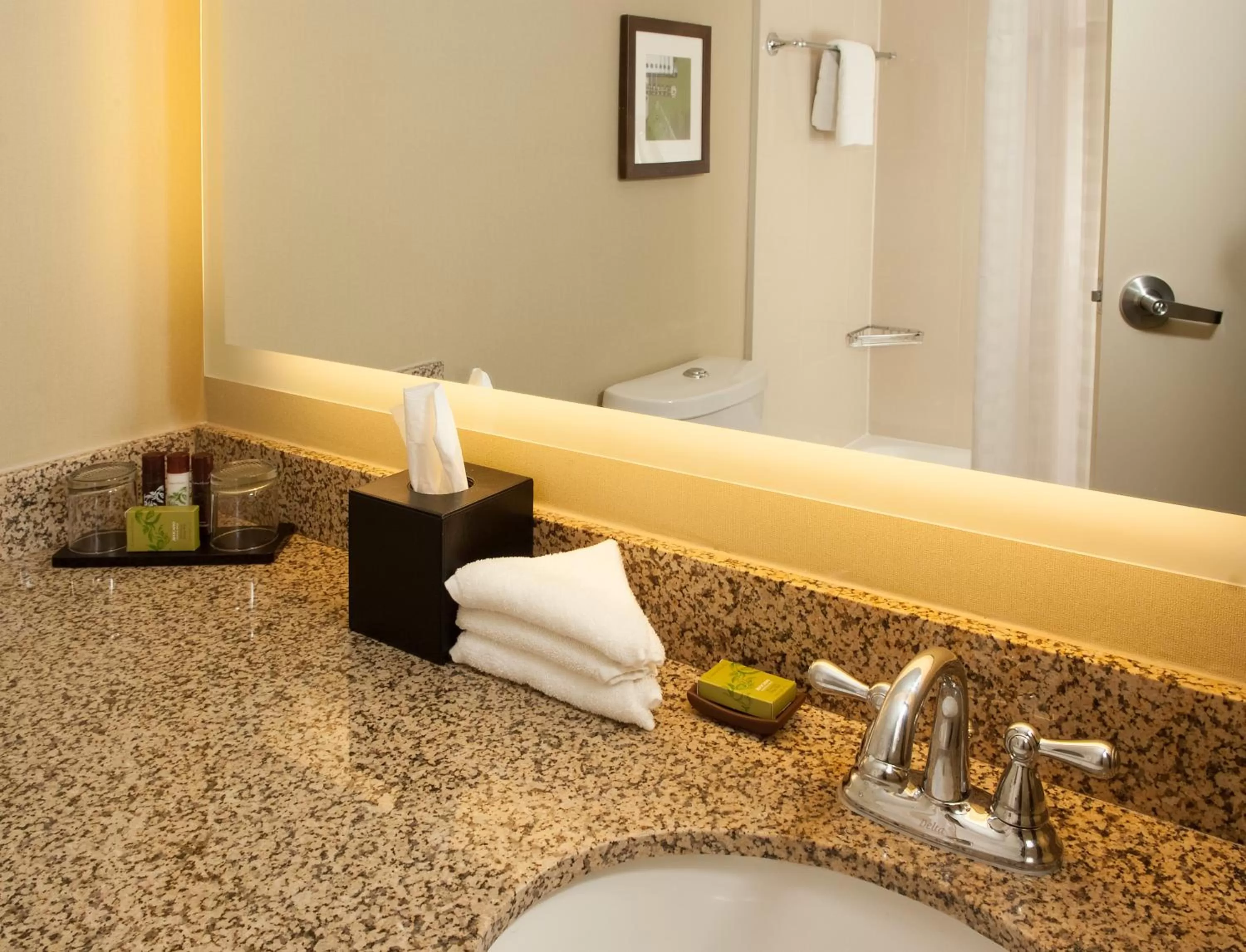 Bathroom in Embassy Suites by Hilton Nashville Airport