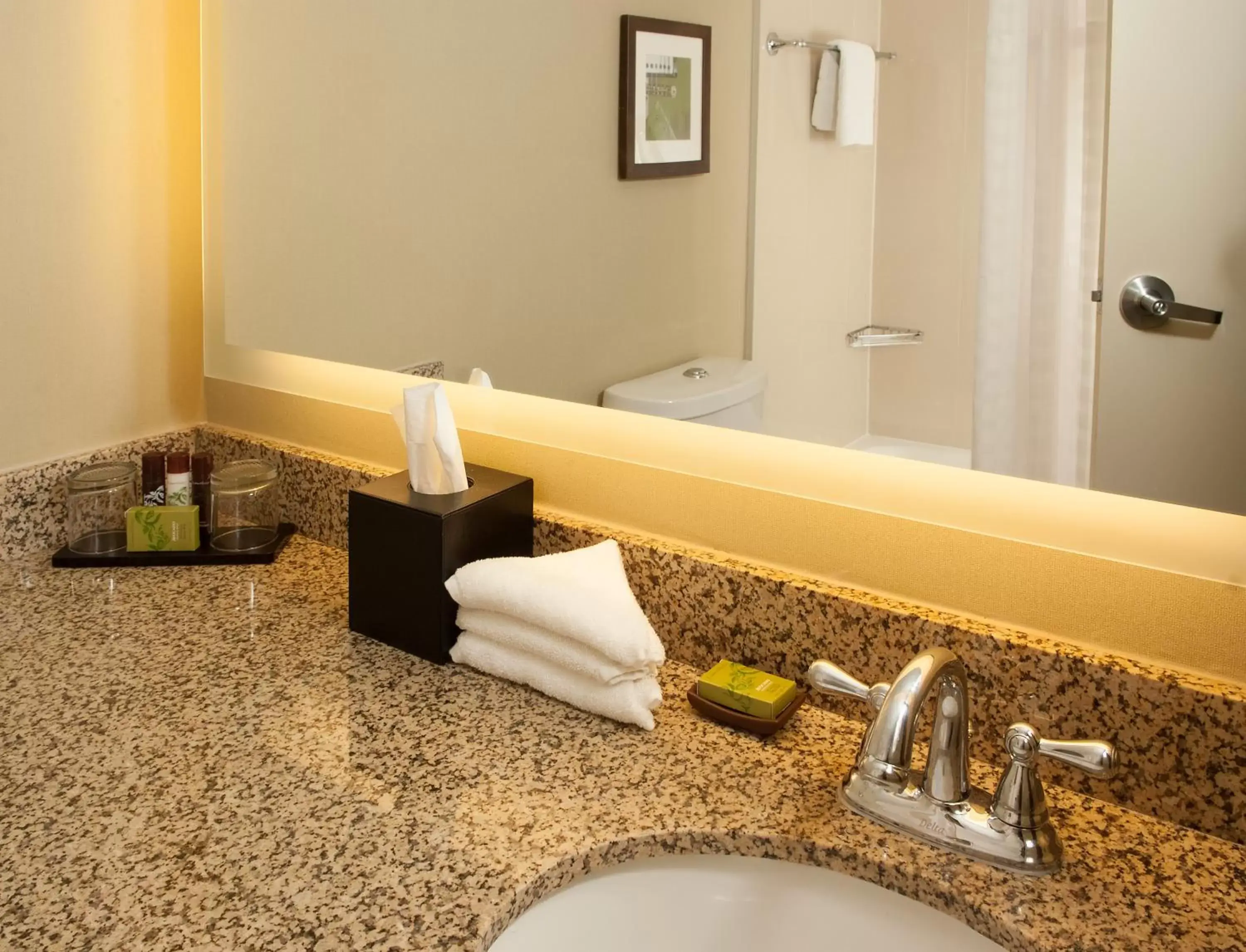 Bathroom in Embassy Suites by Hilton Nashville Airport