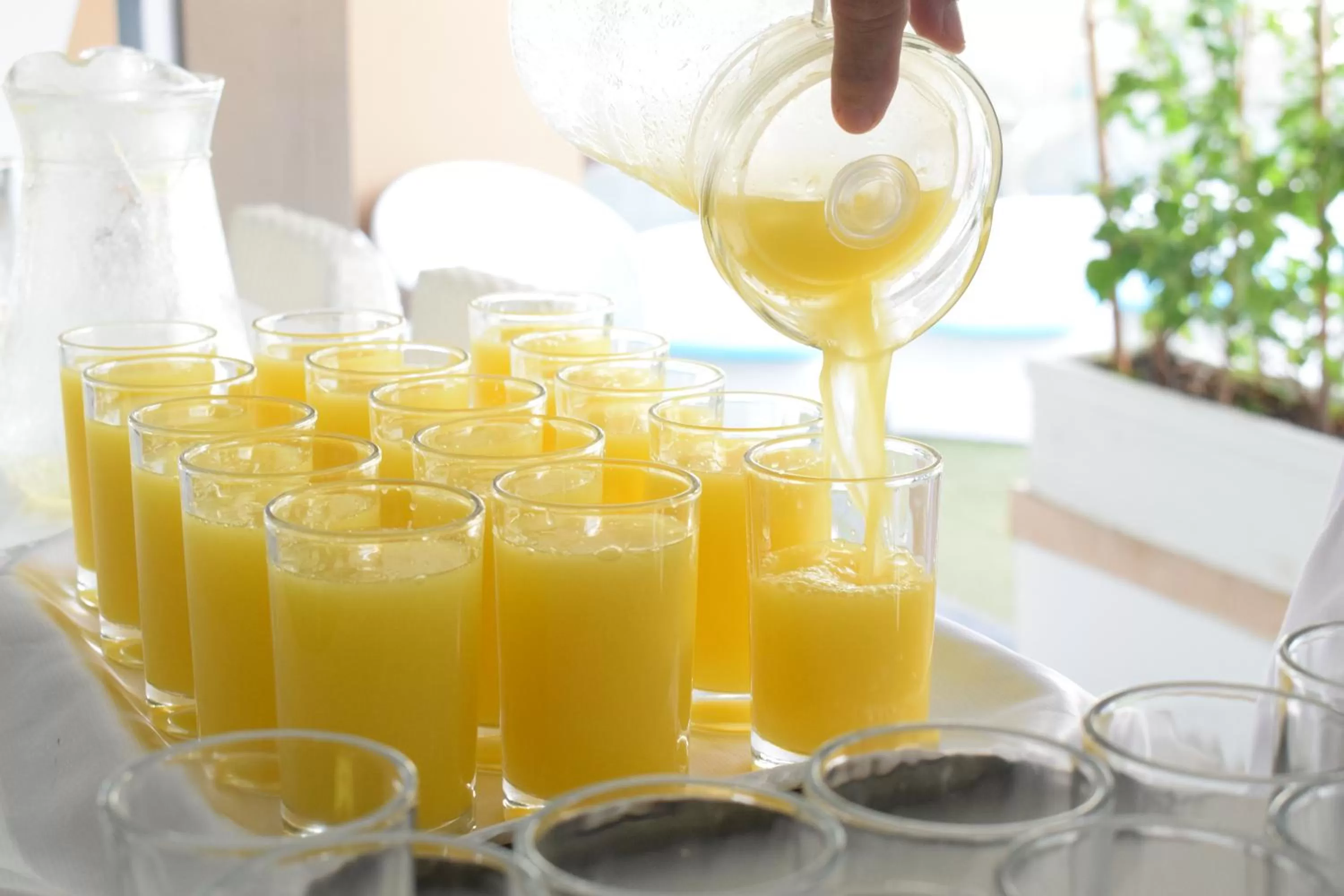 Buffet breakfast in Hotel Catedral Plaza