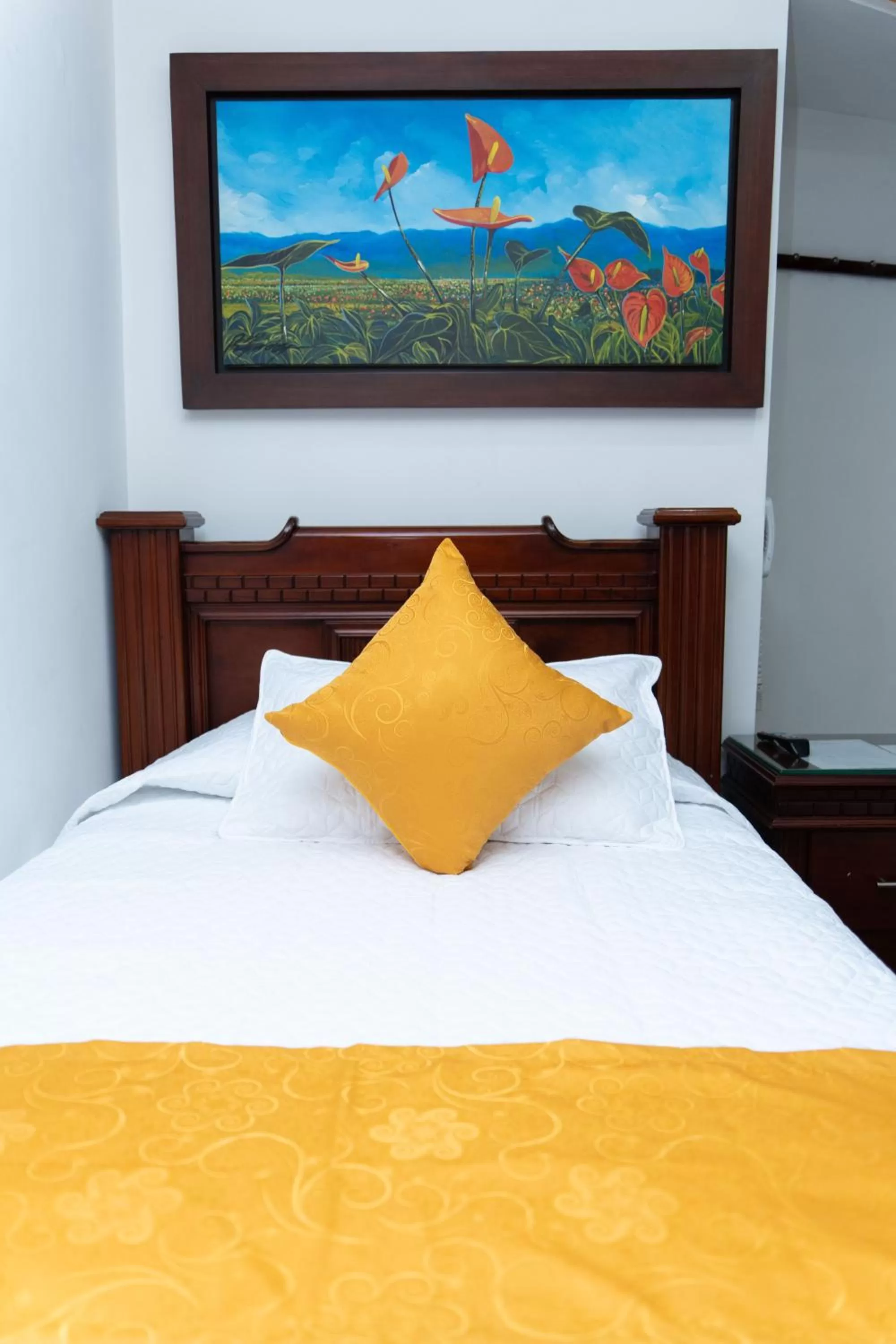 Decorative detail, Bed in Hotel Aires del Quindío Armenia