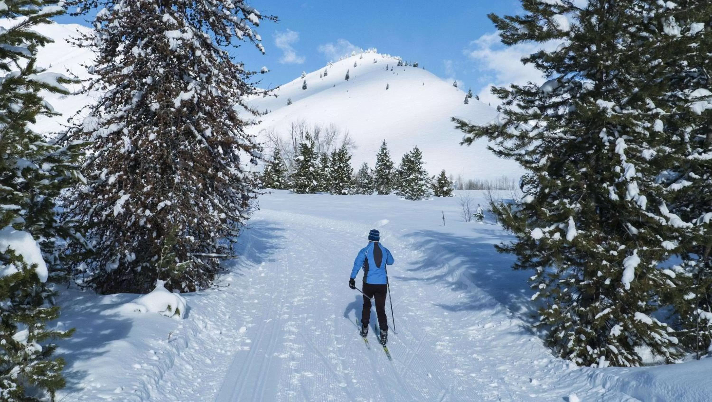 Nearby landmark in Stardust Motel Wallace