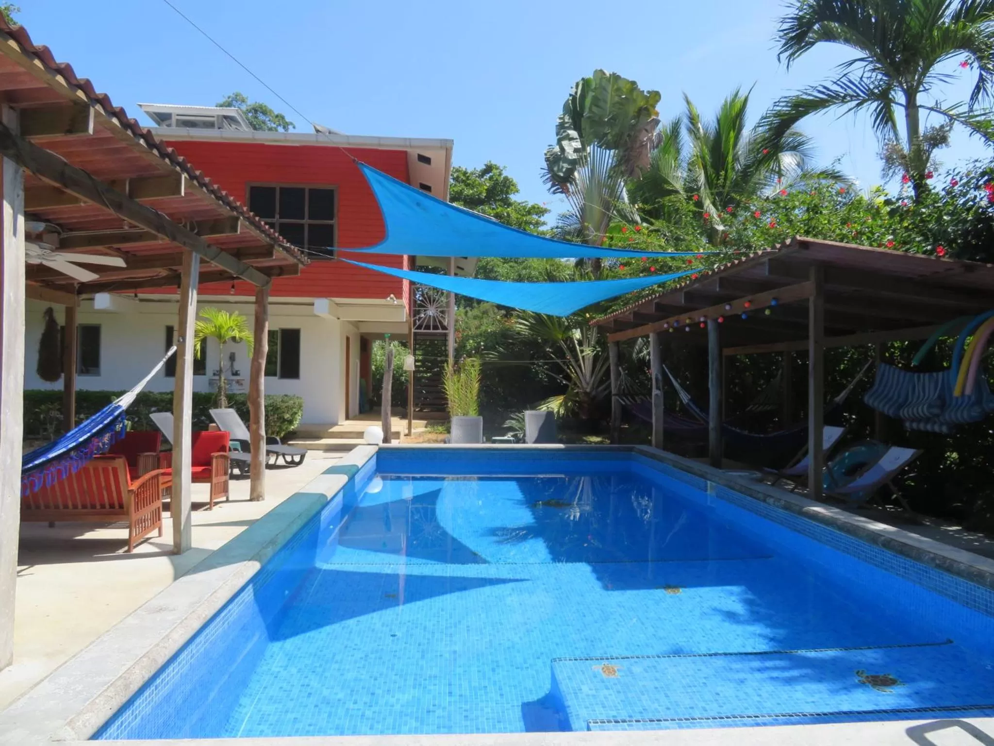 Swimming Pool in Turtle Beach House