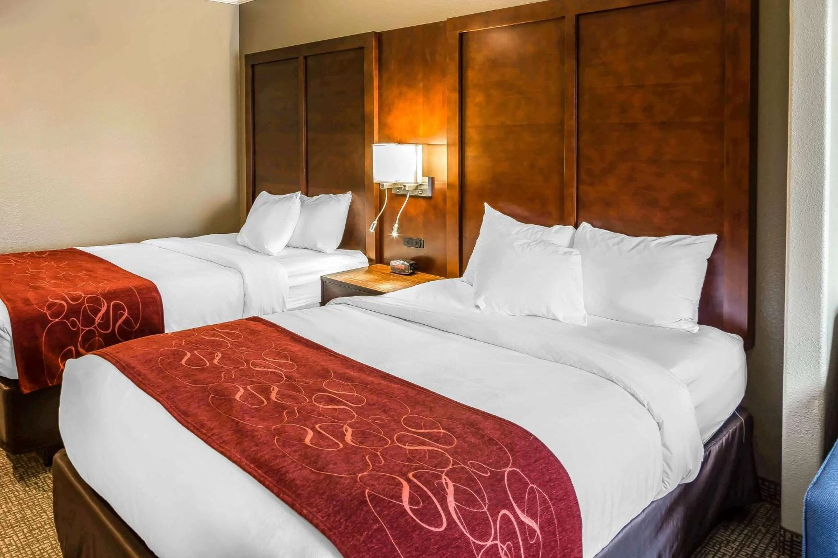 Bed in Comfort Suites San Jose Airport