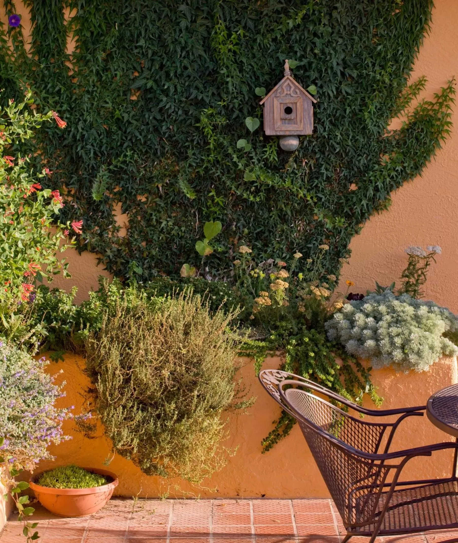 Sunset Motel Moriarty