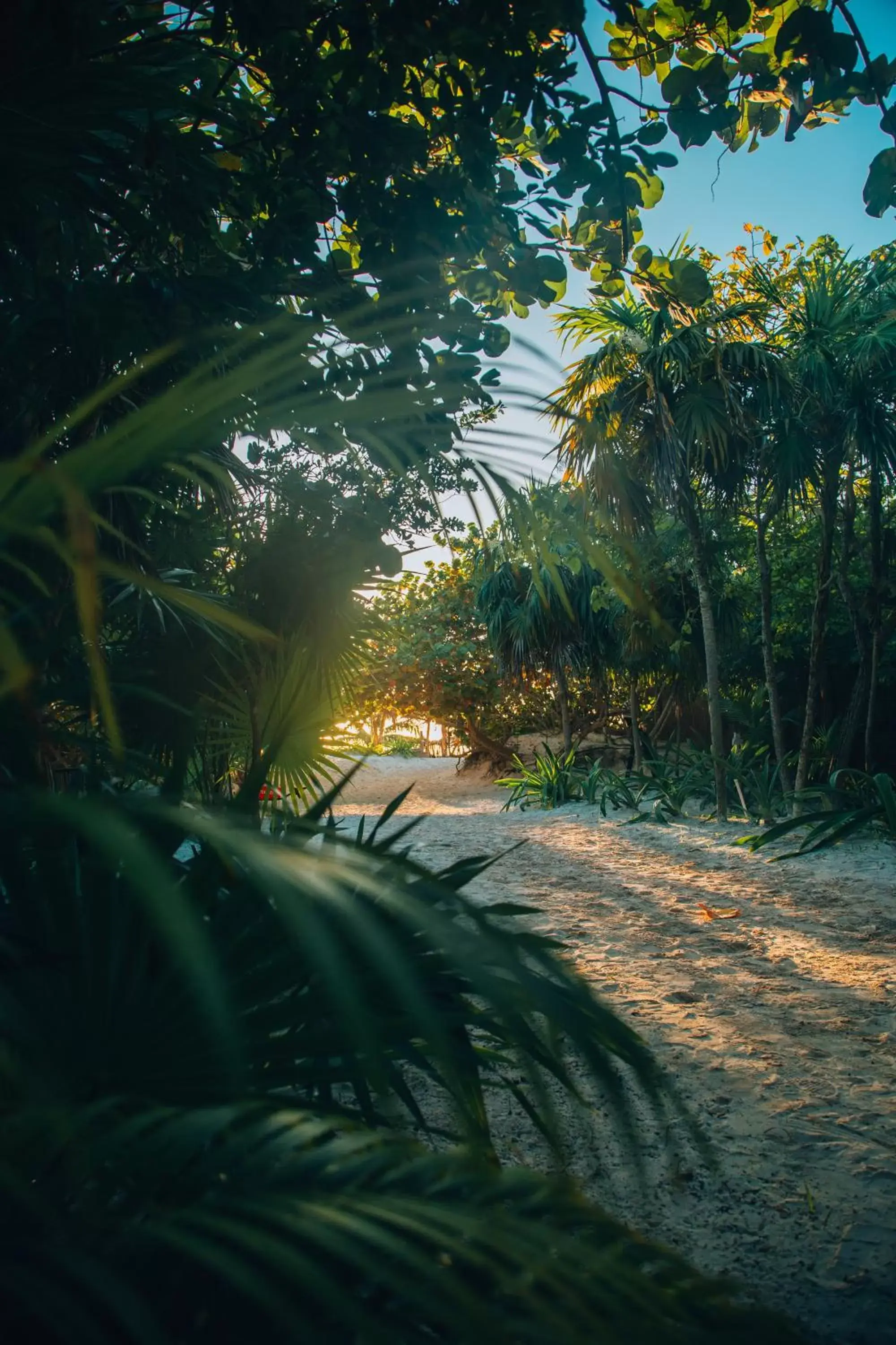 Sunset in Ikal Tulum Hotel