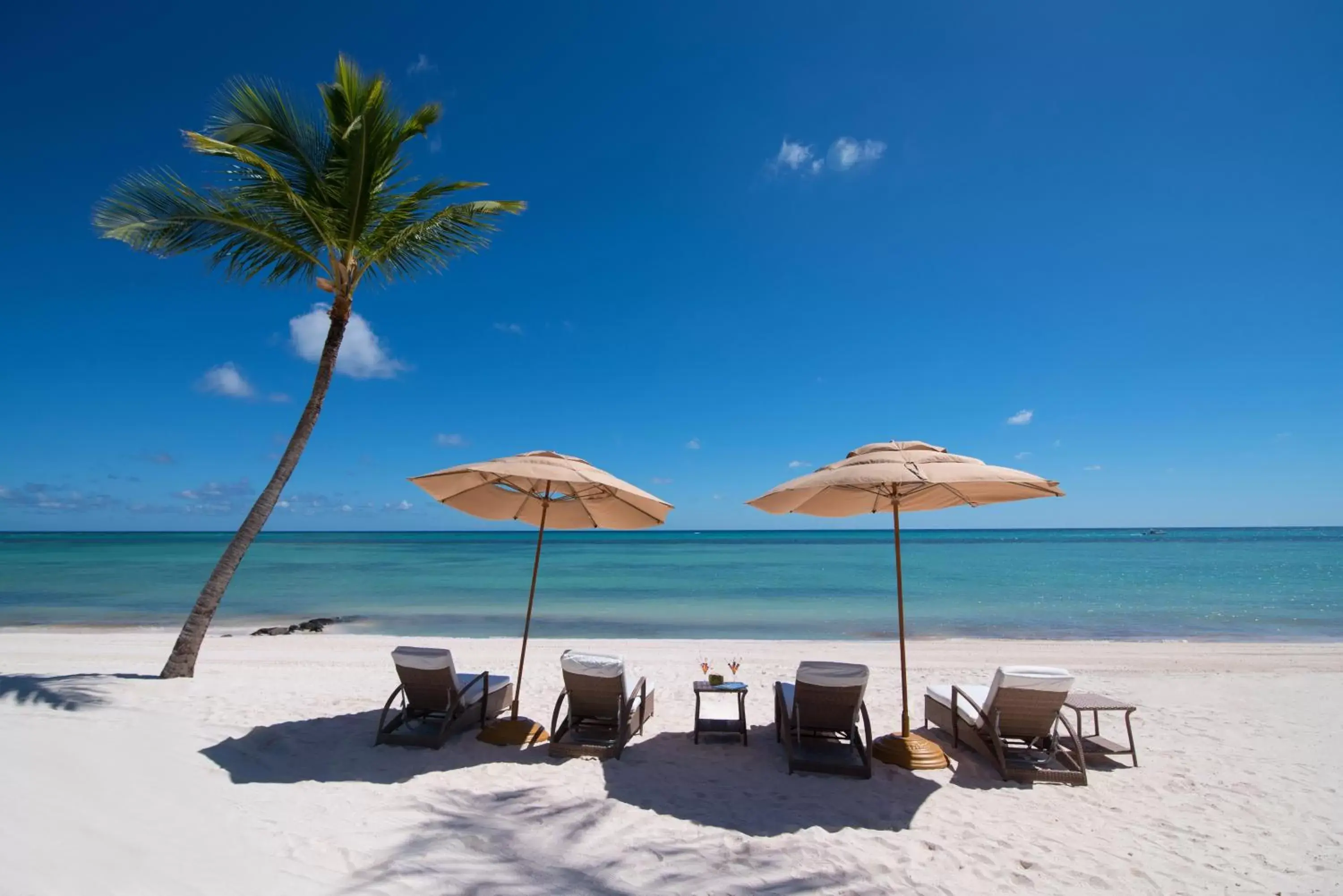 Beach in Tortuga Bay