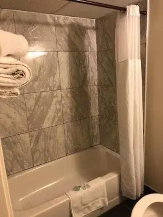 Bathroom in Red Apple Inn Bathroom in Red Apple Inn