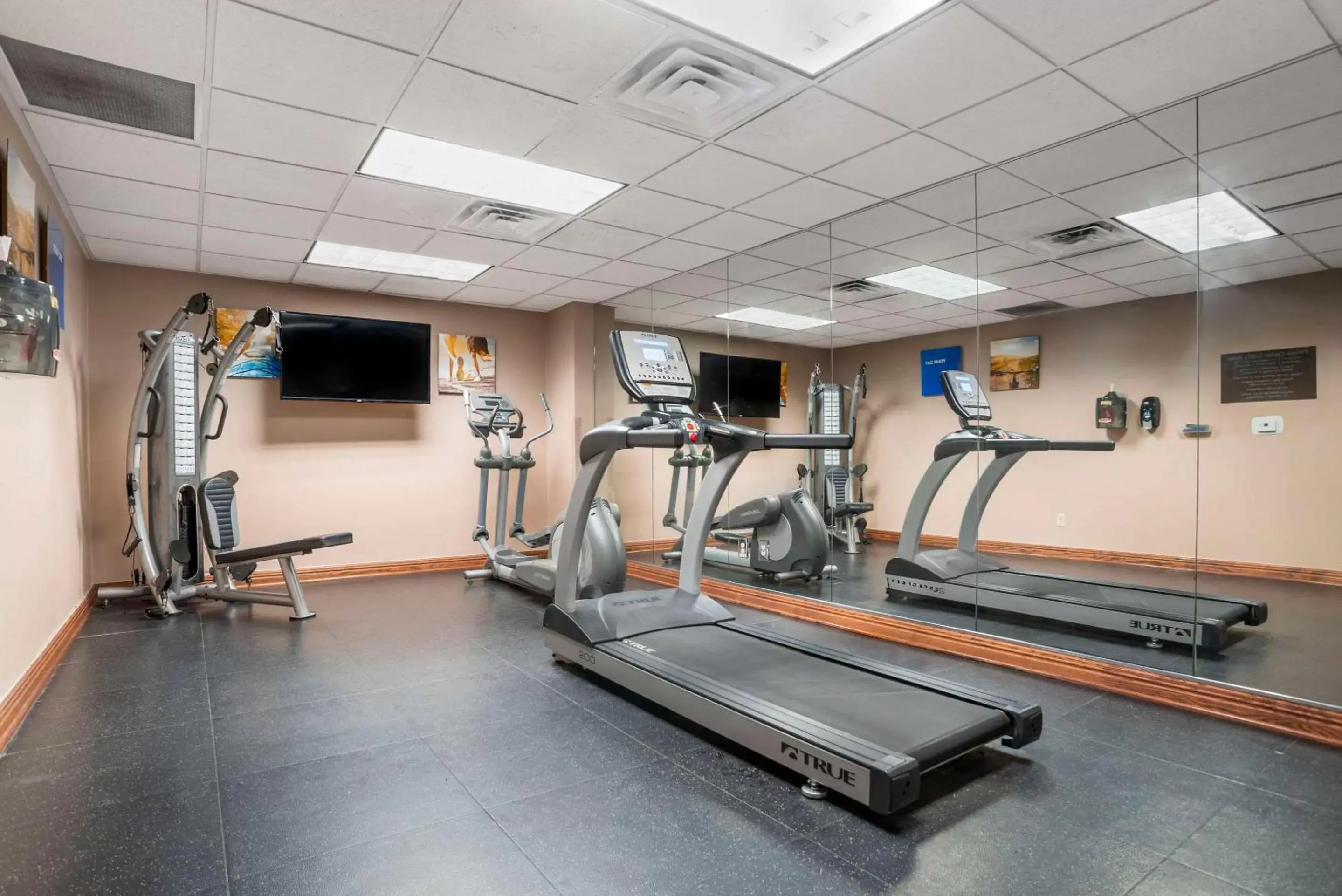Fitness centre/facilities, Fitness Center/Facilities in Comfort Inn & Suites Mobile near Eastern Shore Centre