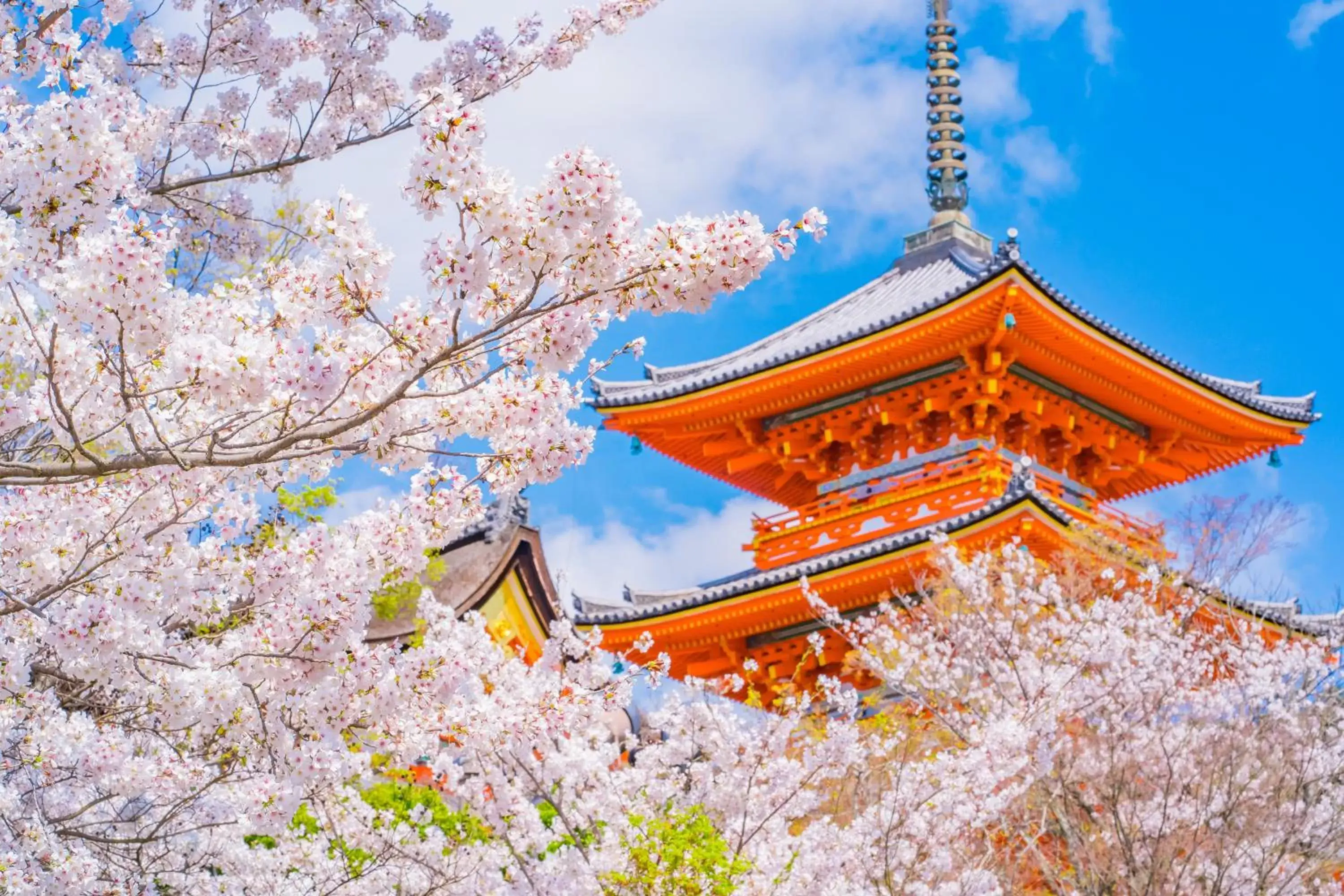 Nearby landmark in Tokyu Stay Kyoto Sanjo-Karasuma