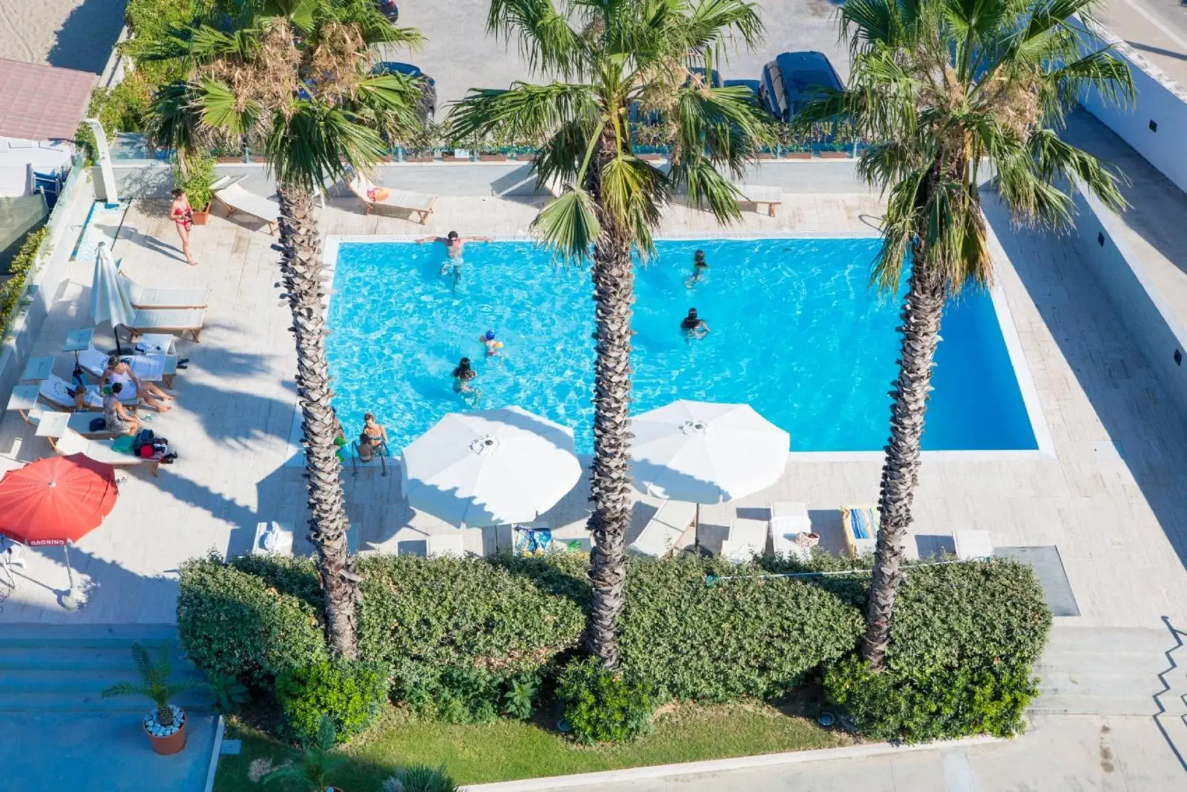 Swimming Pool in Sea Lion Hotel