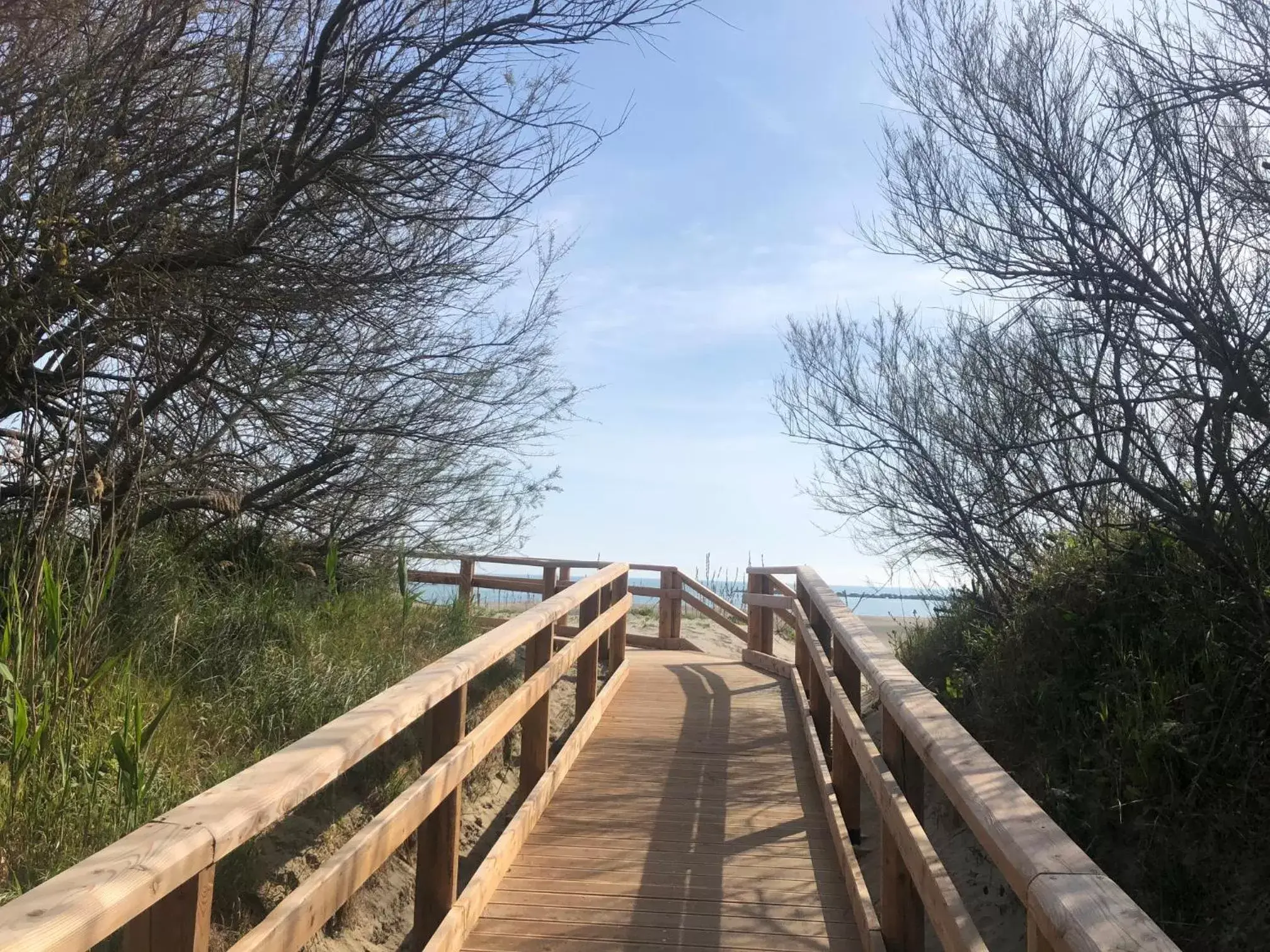 Natural landscape, Winter in Hotel Residence Le Dune